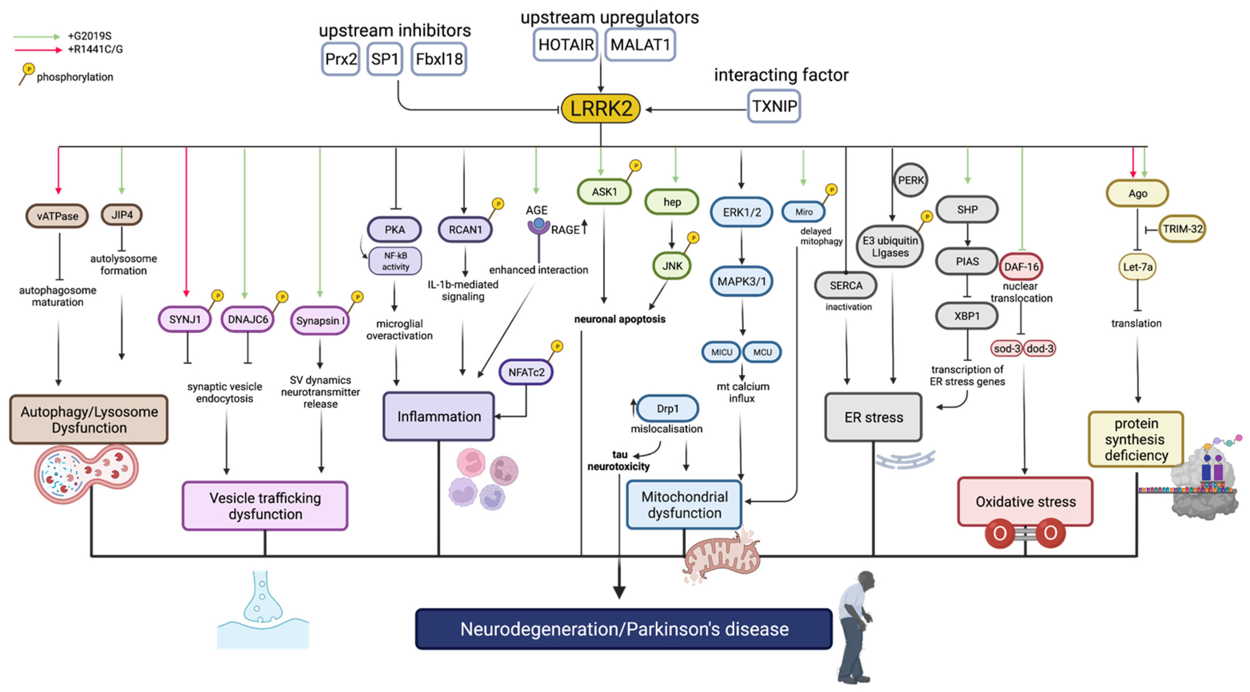 Ijms 23 11744 g003 Ijms 23 11744 g003