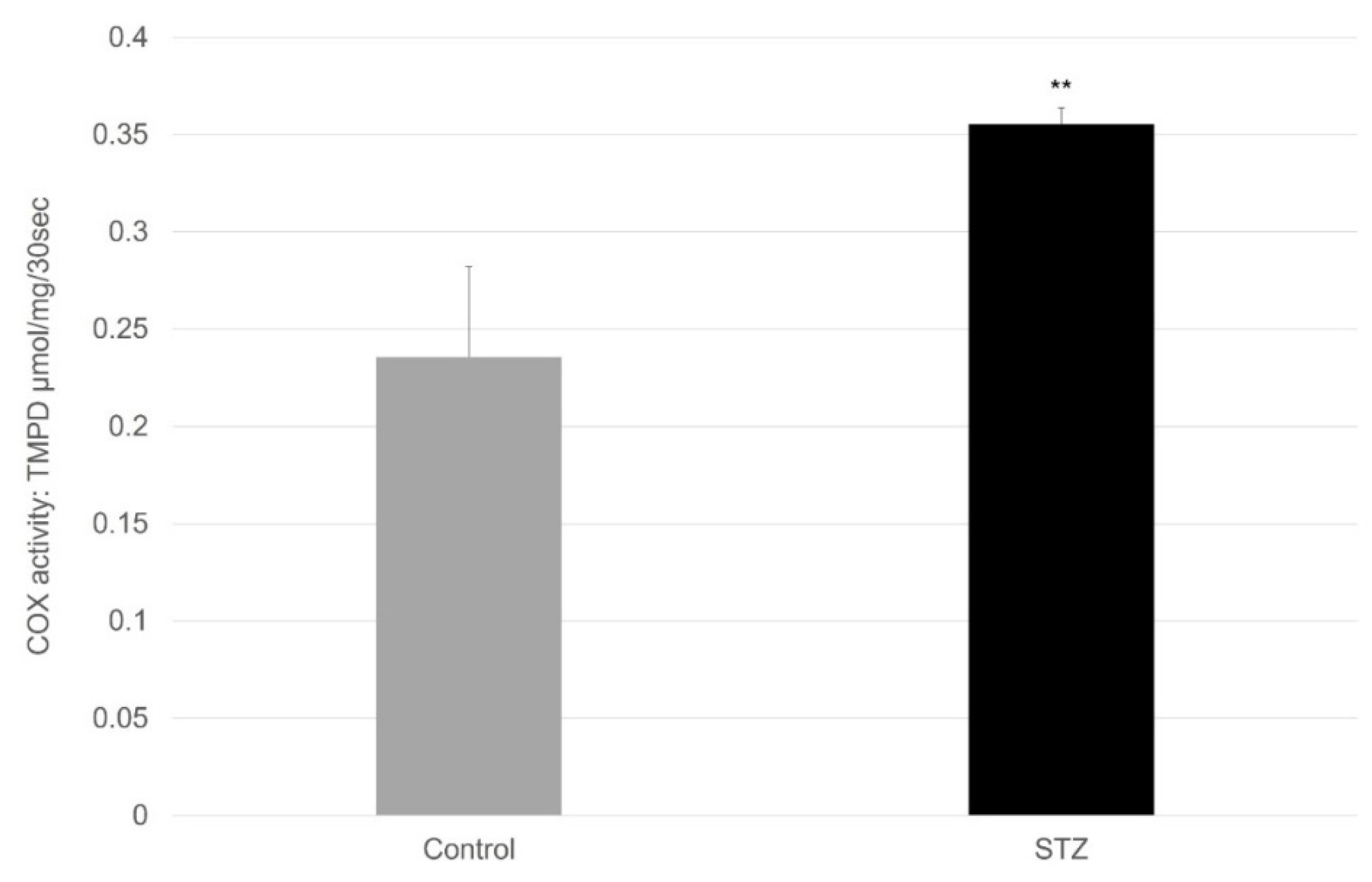 Ijms 23 11913 g008 Ijms 23 11913 g008