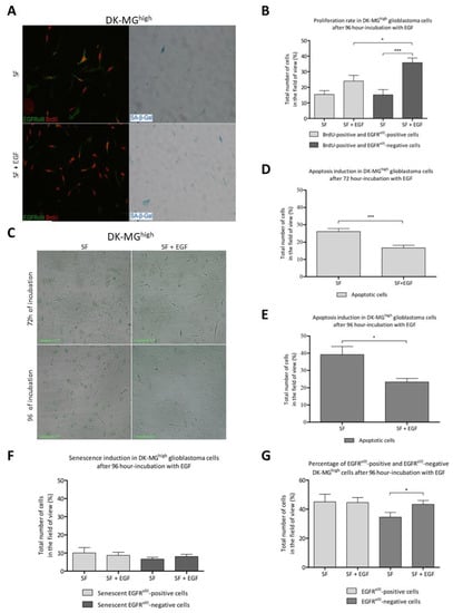 IJMS Free Full Text Phenotypical Flexibility Of The EGFRvIII