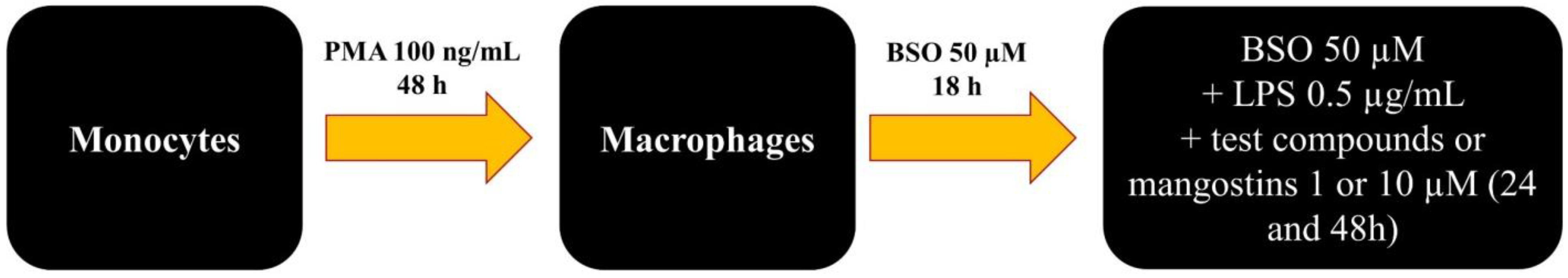 Ijms 23 13319 sch002