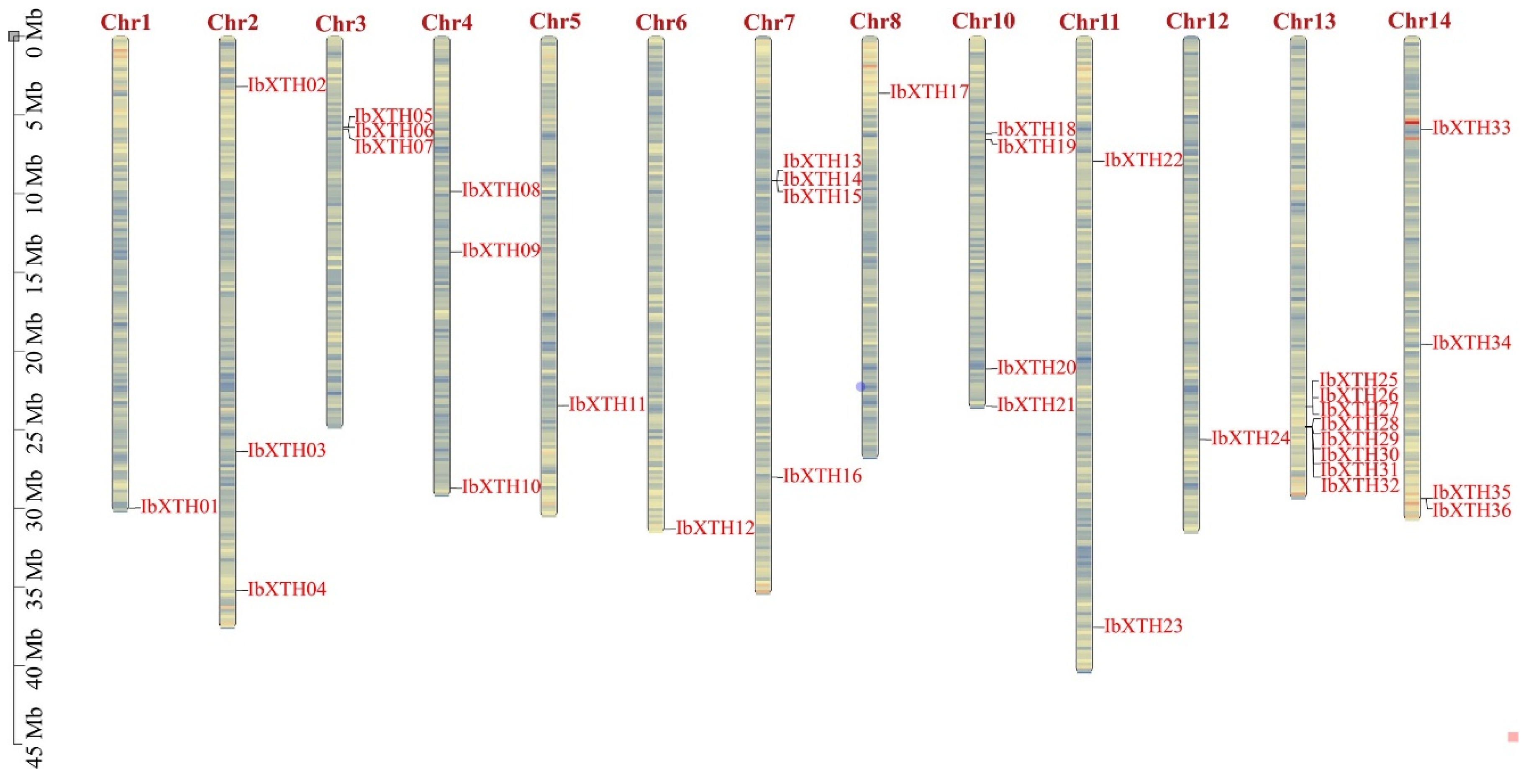 Ijms Free Full Text Genome Wide Identification And Expression