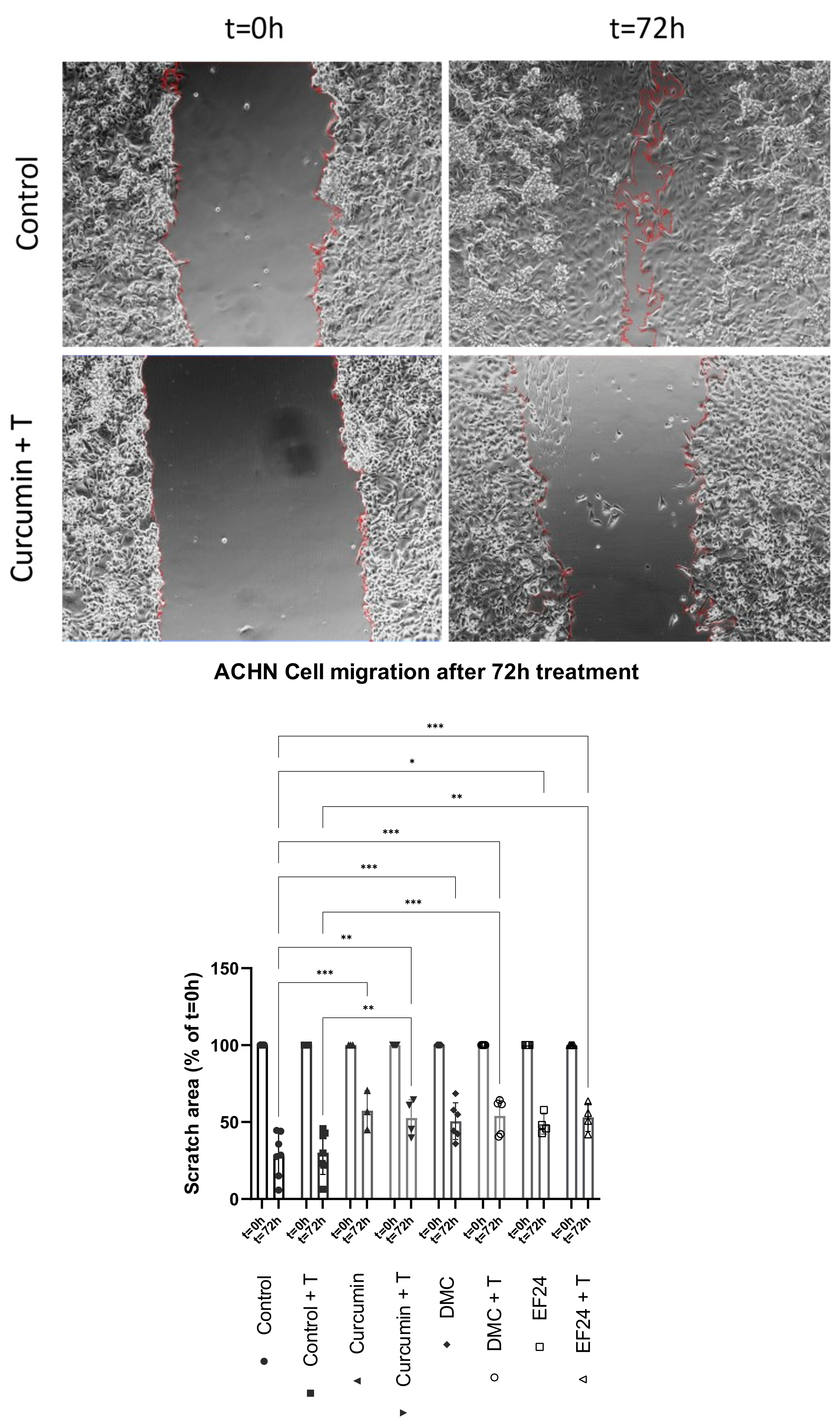 Ijms 24 01043 g006 Ijms 24 01043 g006