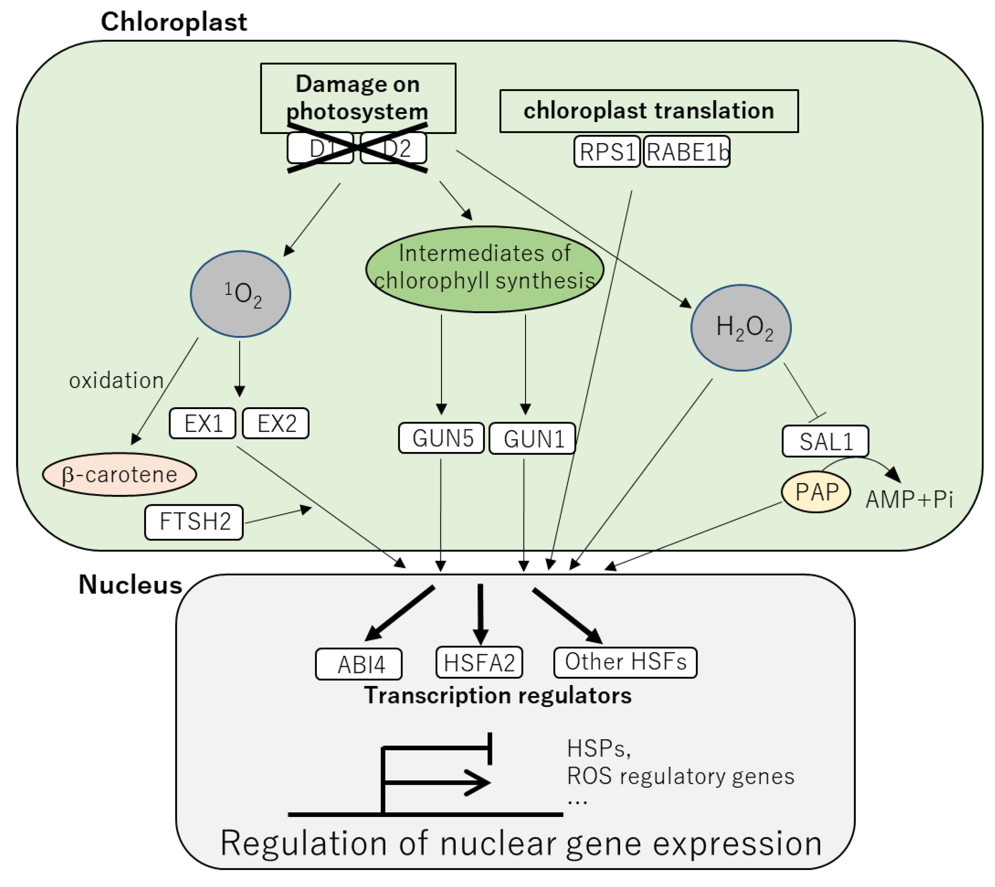 Ijms 24 01356 g001 Ijms 24 01356 g001