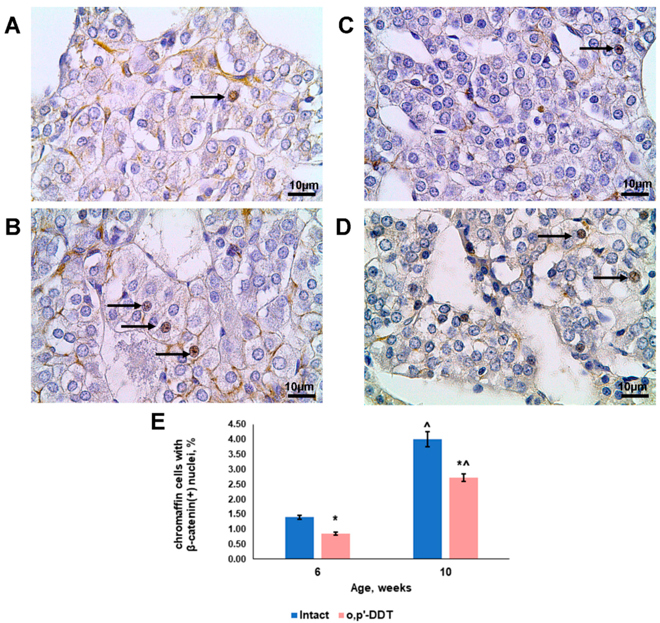 Ijms 24 02774 g004 Ijms 24 02774 g004