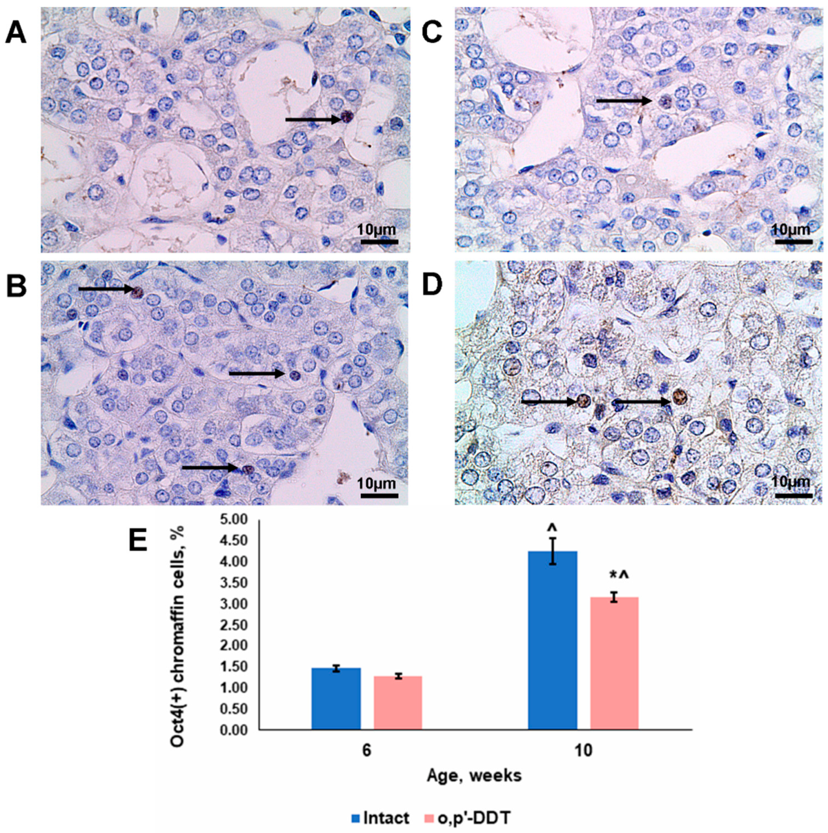 Ijms 24 02774 g006 Ijms 24 02774 g006