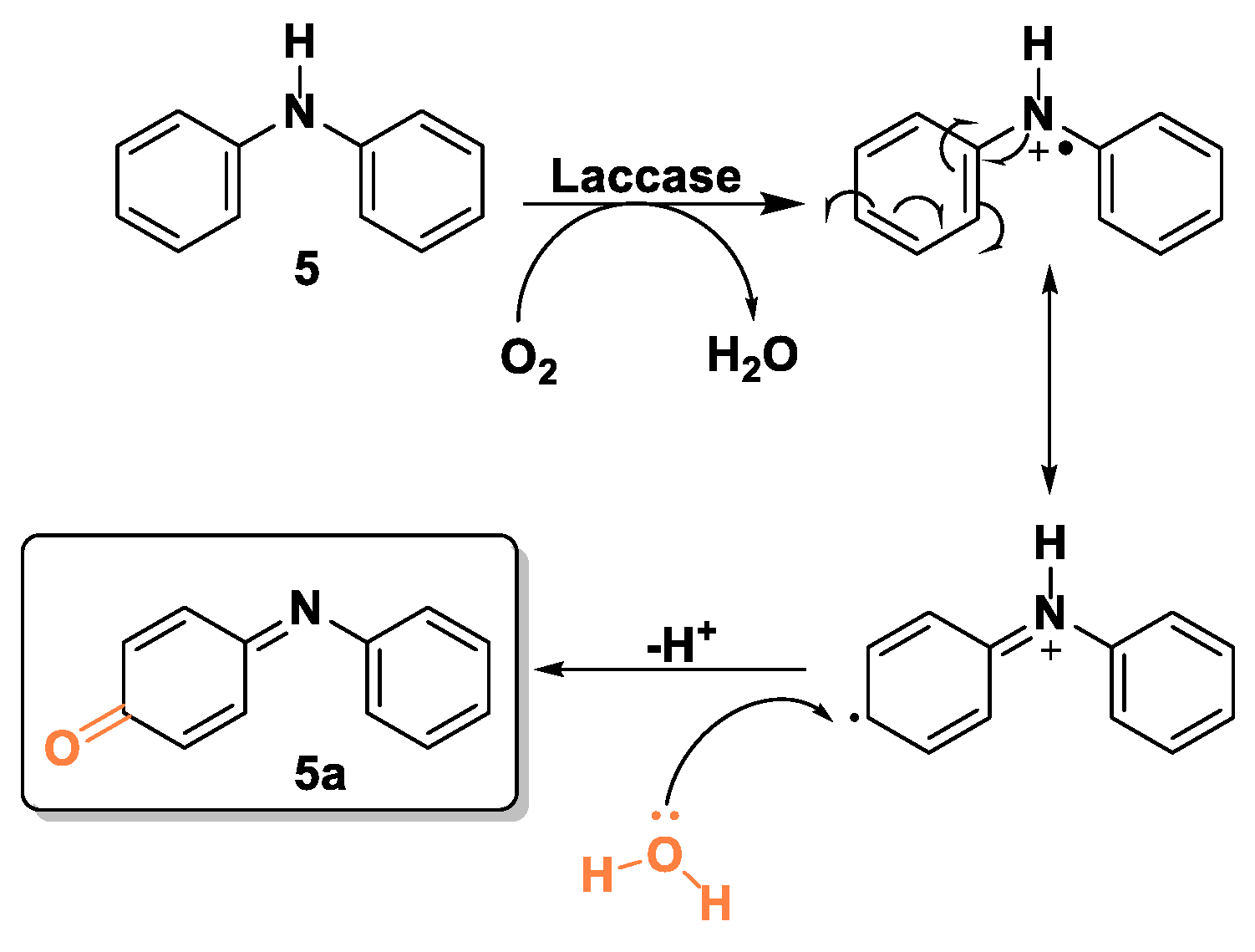 Ijms 24 03524 sch007
