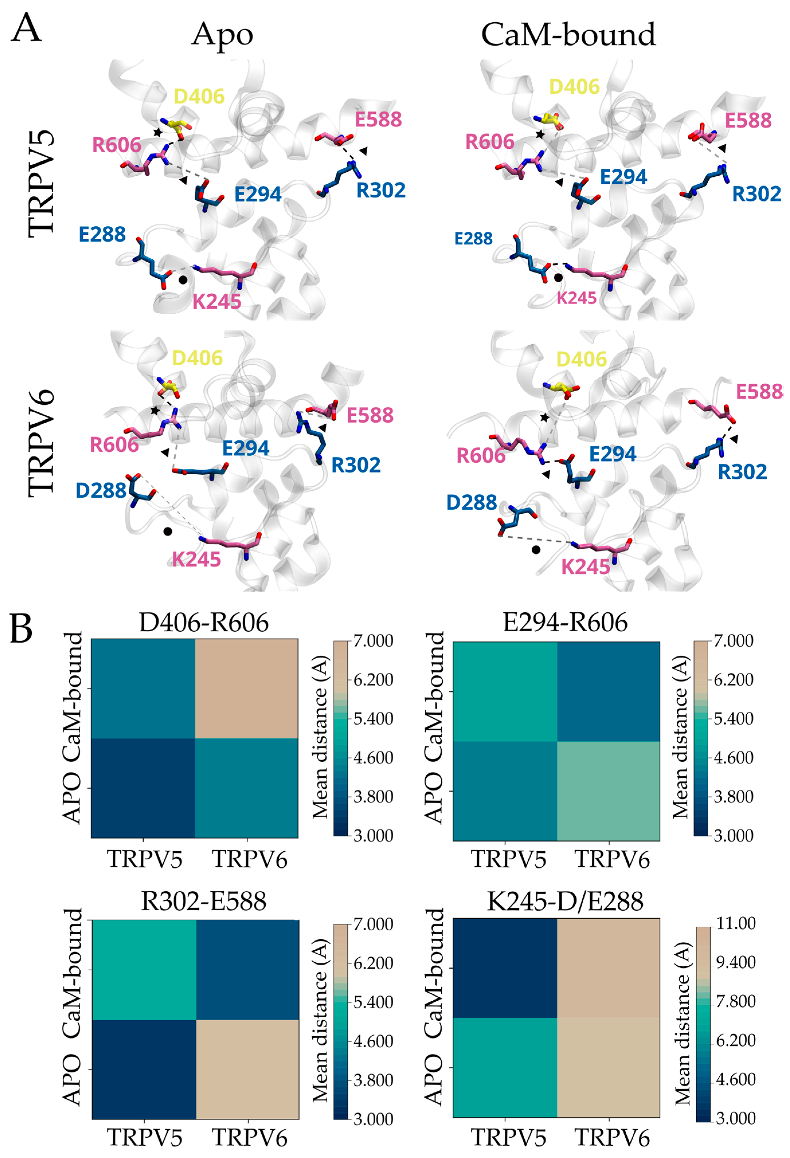 Ijms 24 04470 g002 Ijms 24 04470 g002