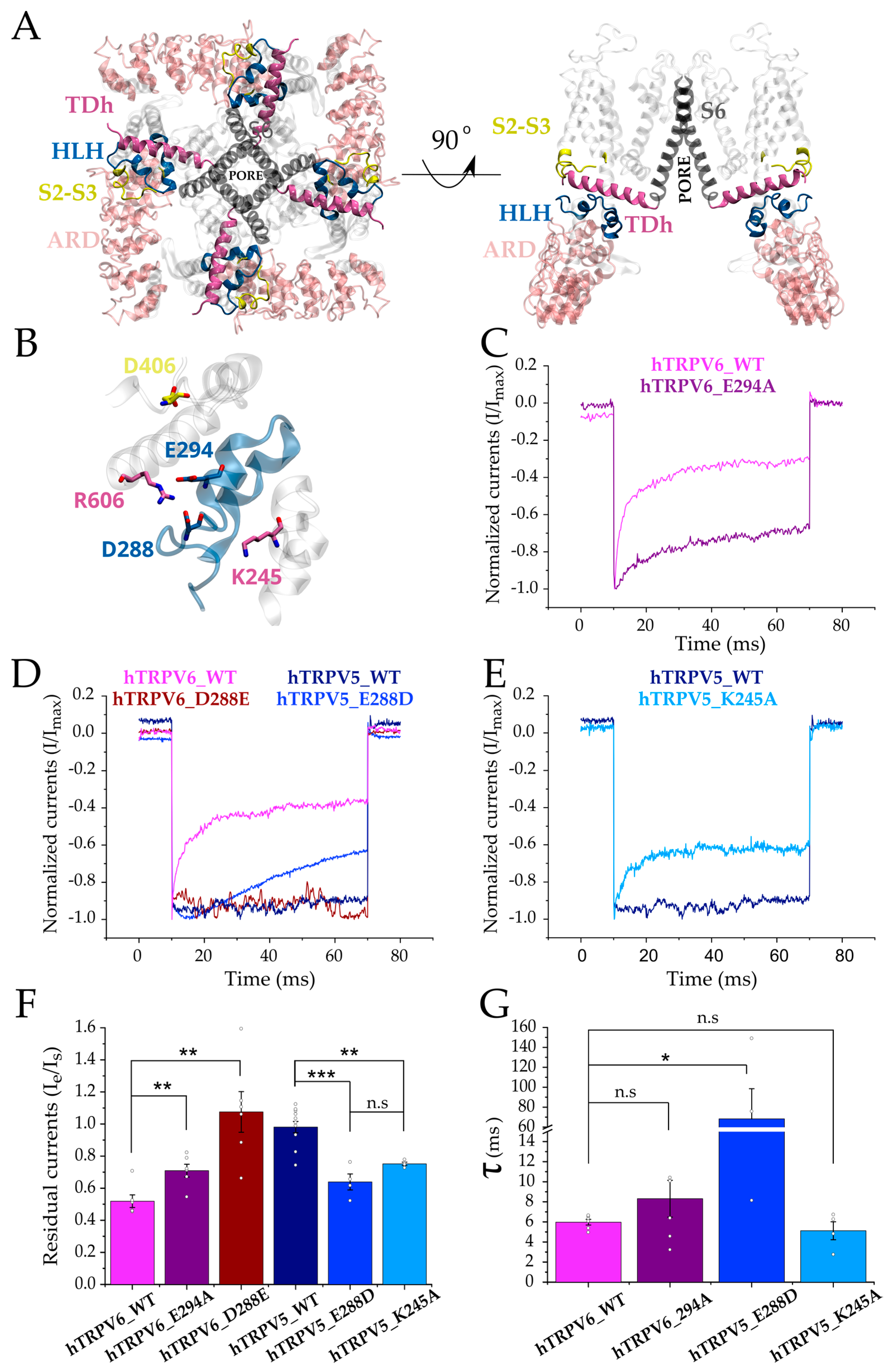 Ijms 24 04470 g003 Ijms 24 04470 g003