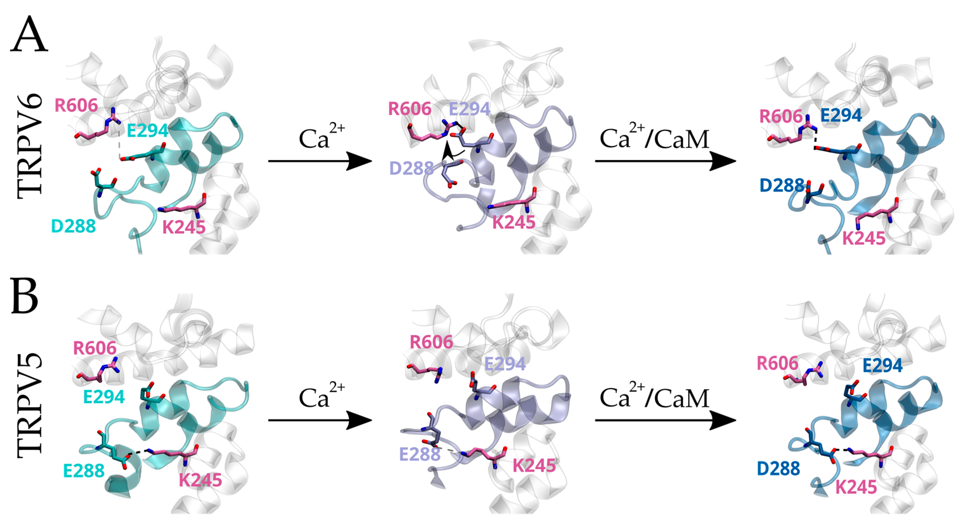 Ijms 24 04470 g006 Ijms 24 04470 g006