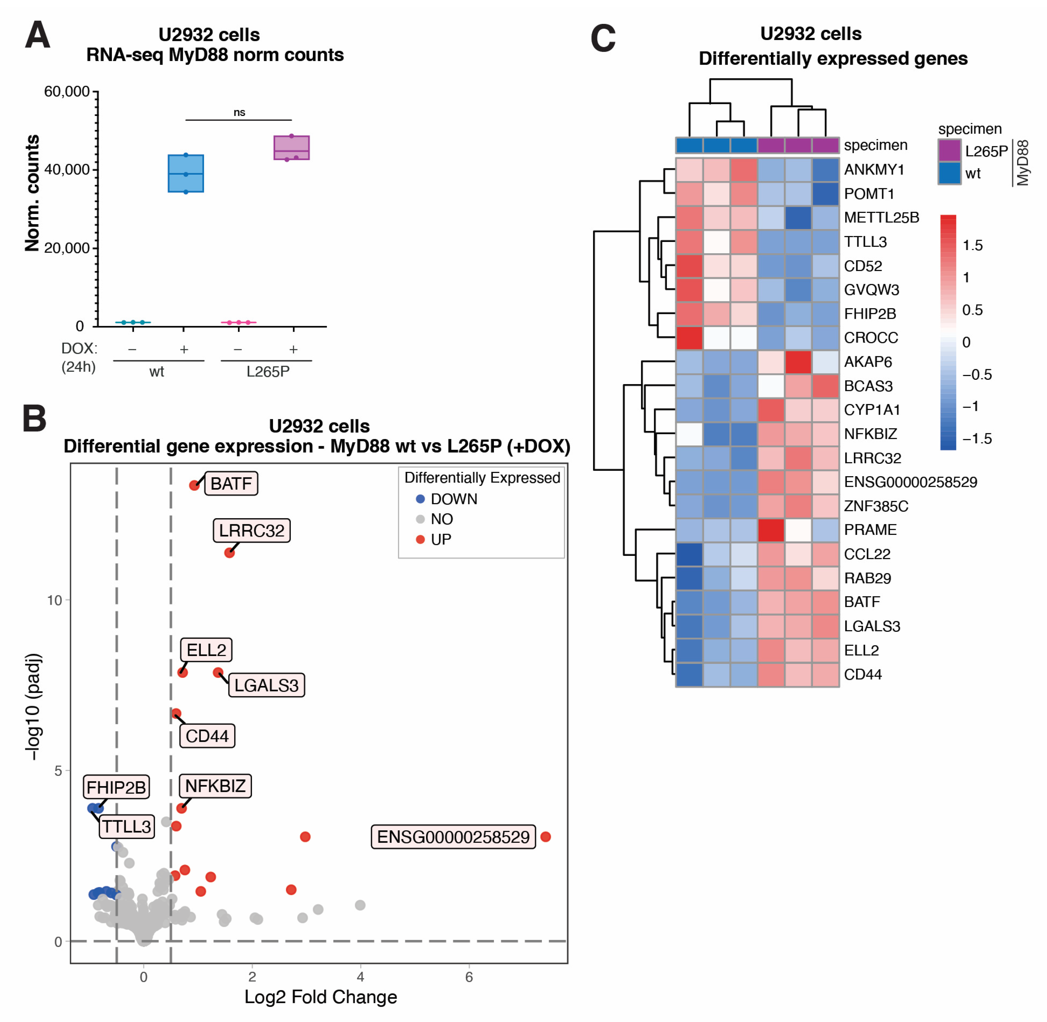 Ijms Free Full Text Transcriptome Analysis Of Diffuse Large B Cell