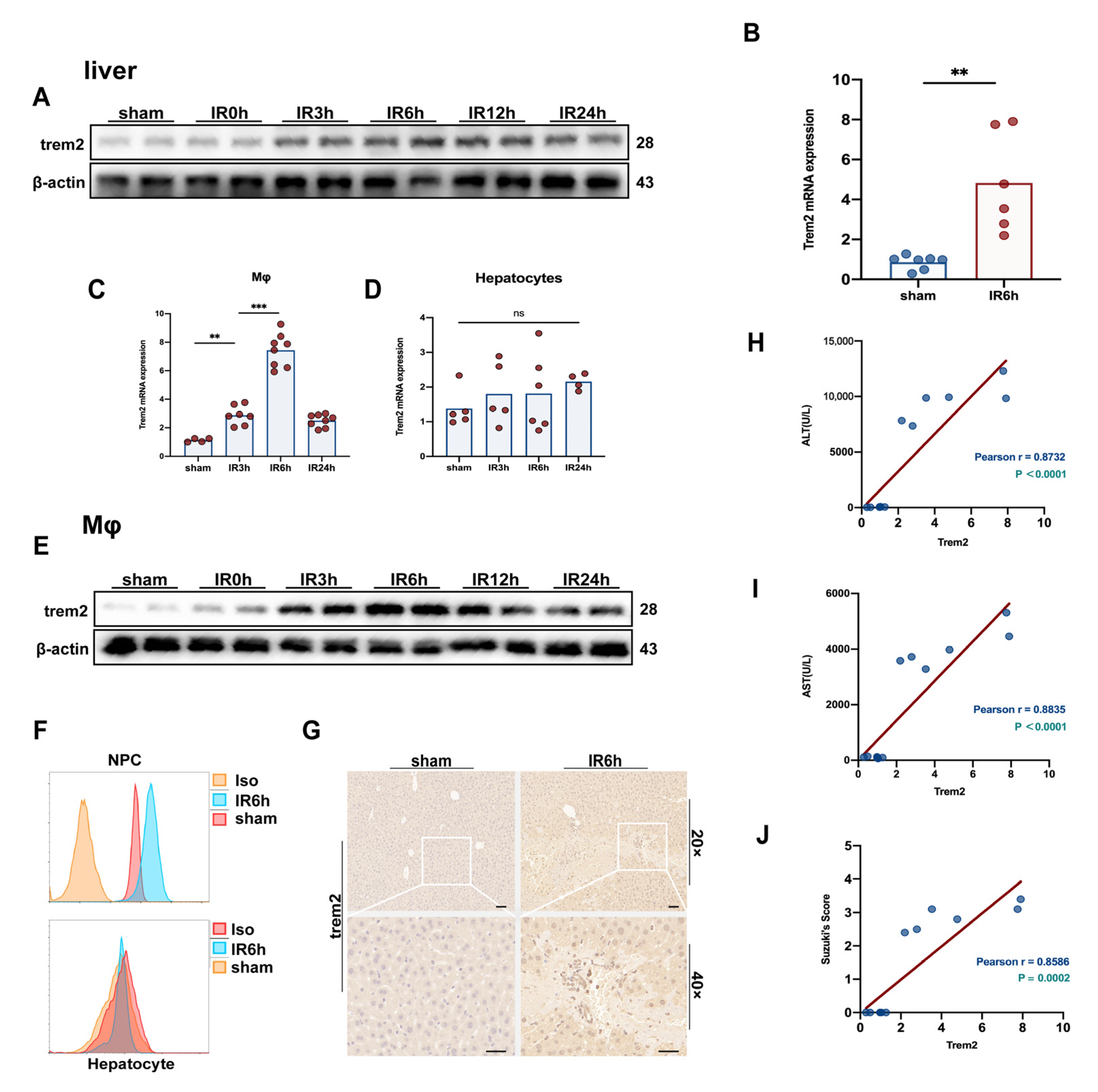 Ijms 24 06348 g001 Ijms 24 06348 g001