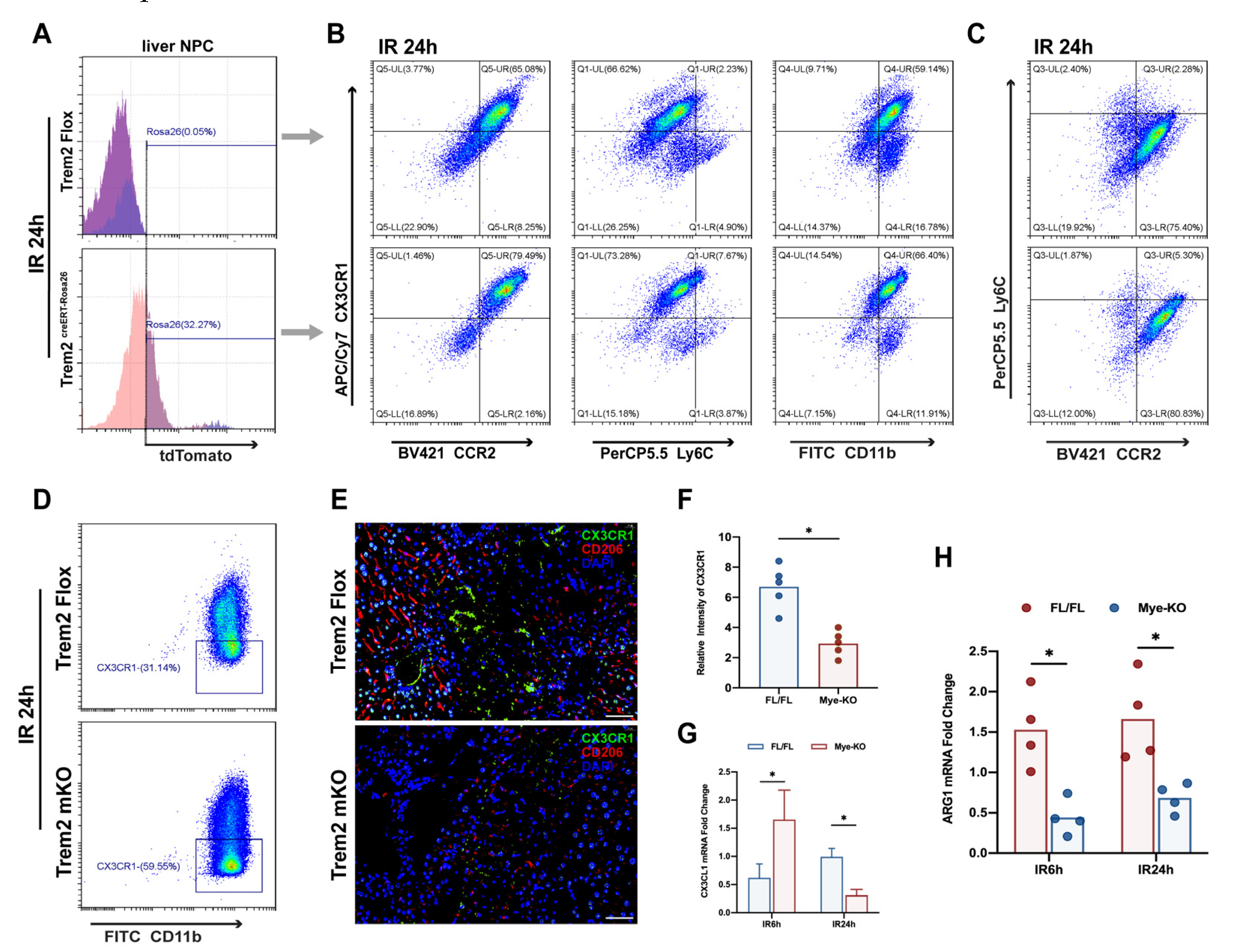 Ijms 24 06348 g004 Ijms 24 06348 g004