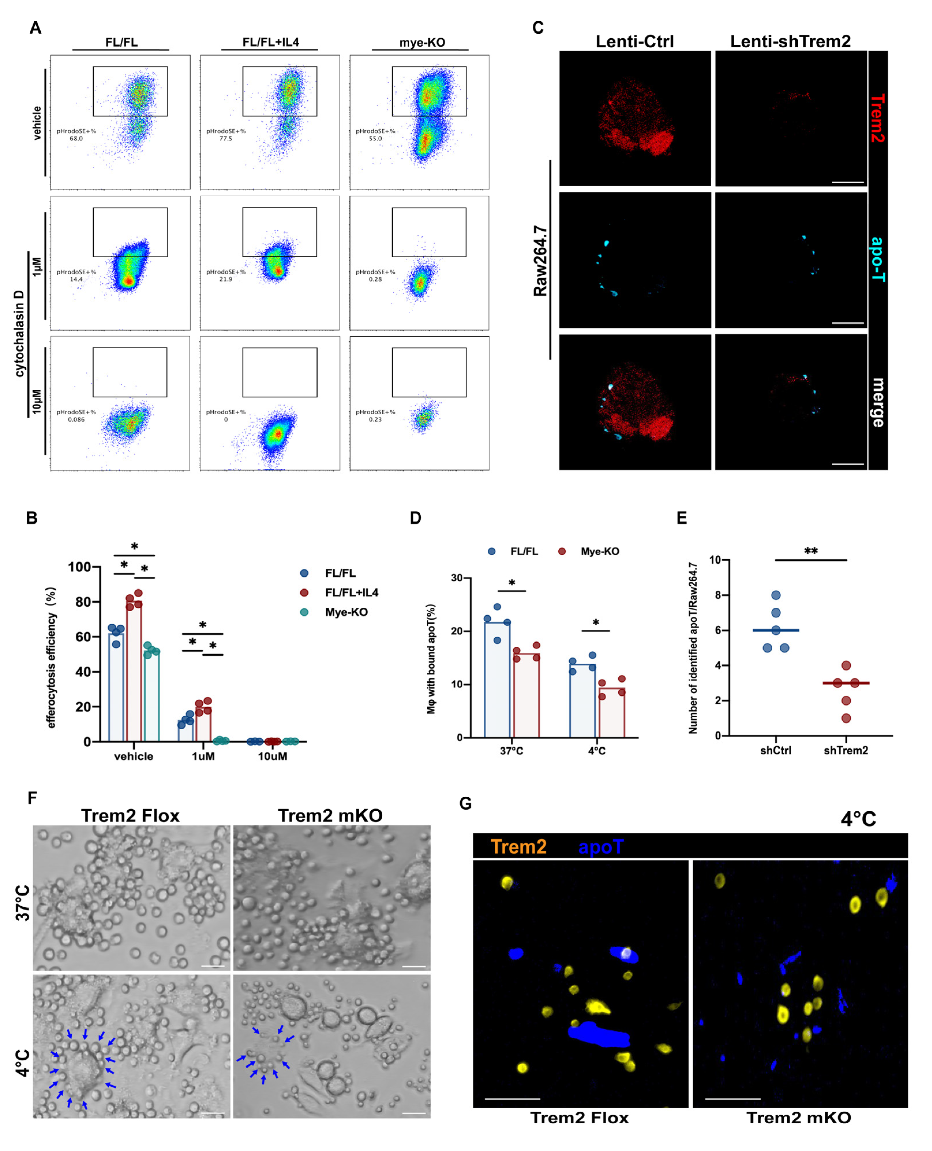 Ijms 24 06348 g006 Ijms 24 06348 g006