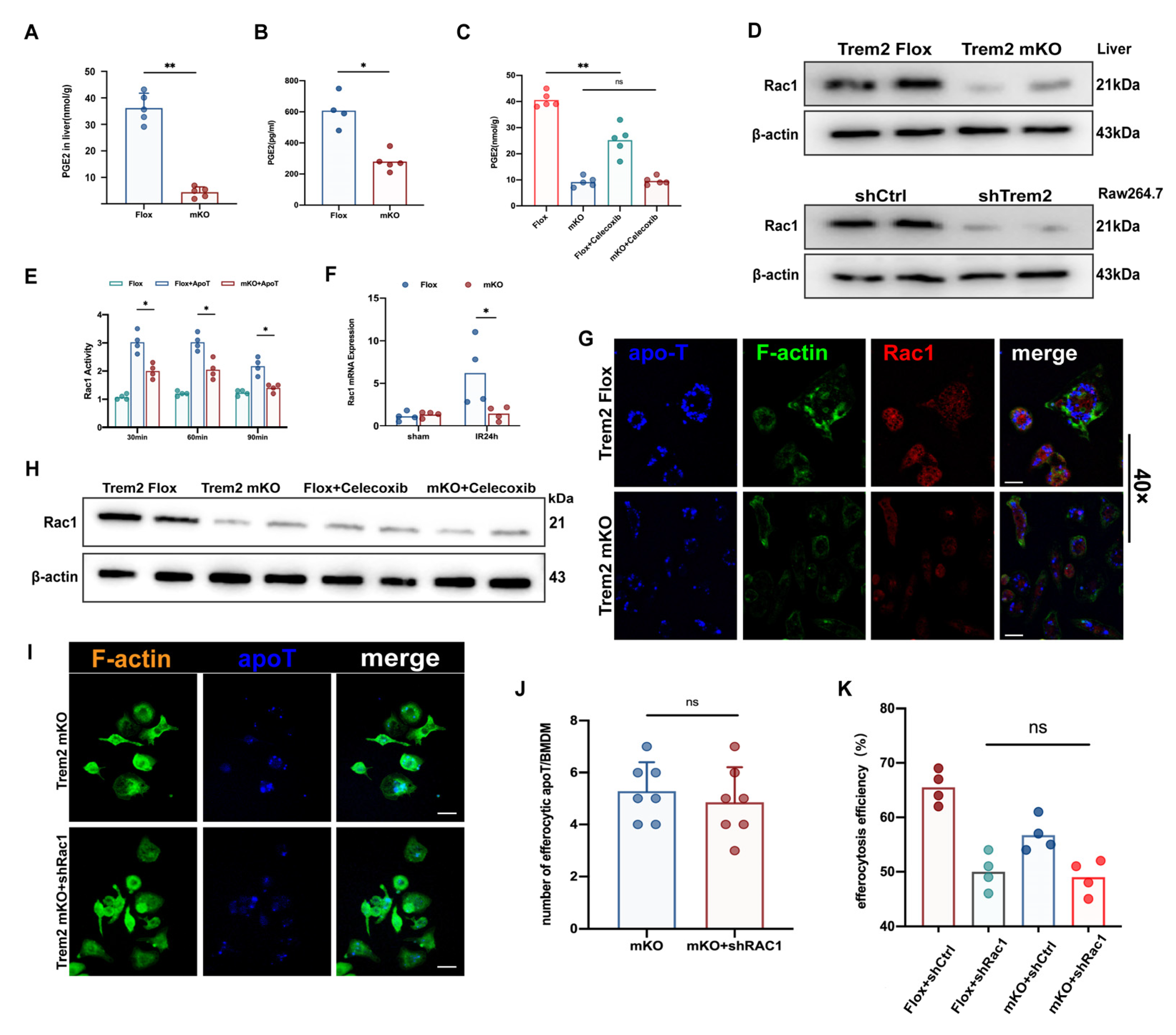 Ijms 24 06348 g007 Ijms 24 06348 g007