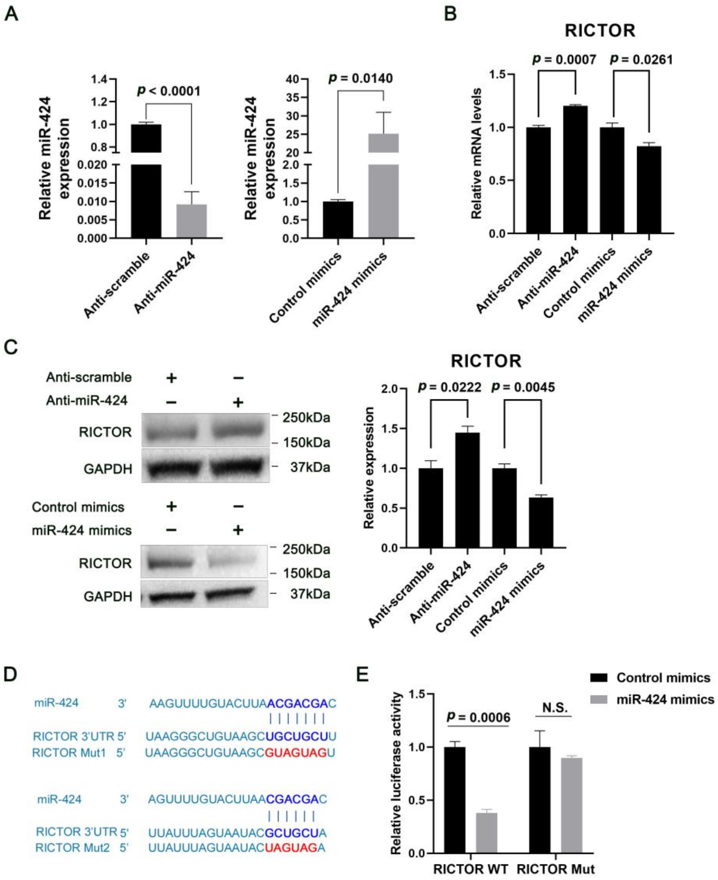 Ijms 24 06700 g002 Ijms 24 06700 g002