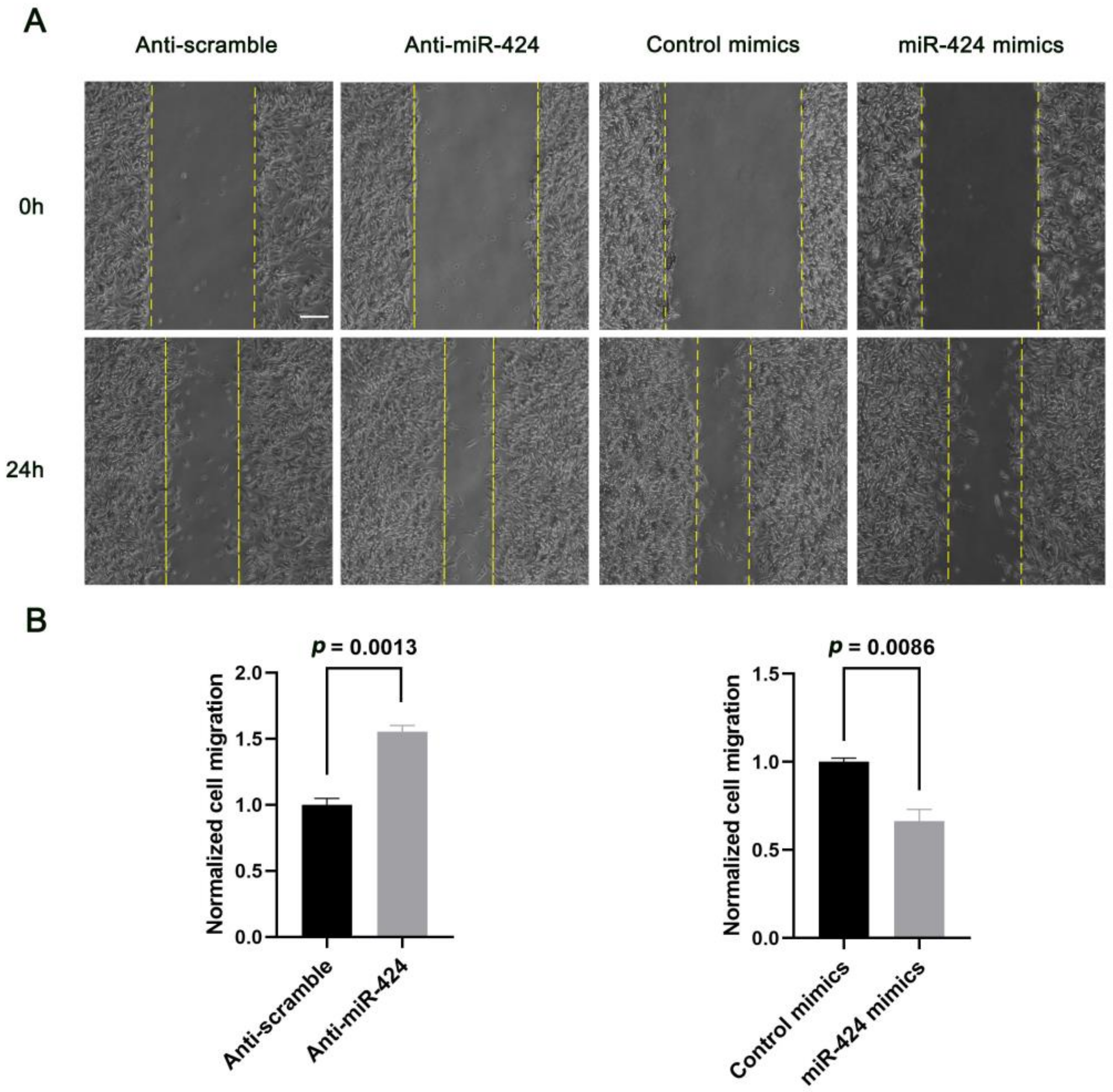Ijms 24 06700 g003 Ijms 24 06700 g003