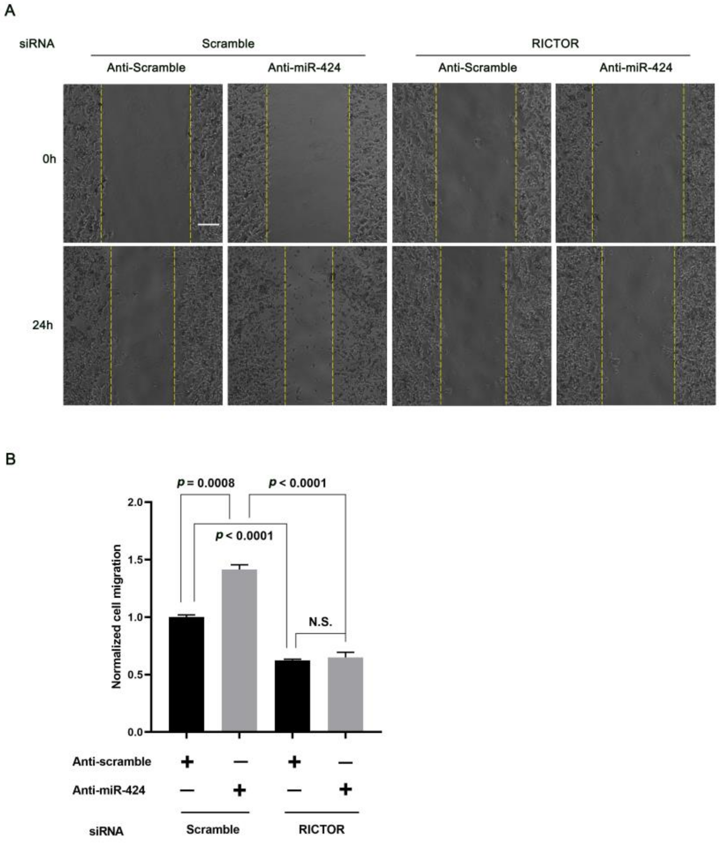 Ijms 24 06700 g005 Ijms 24 06700 g005