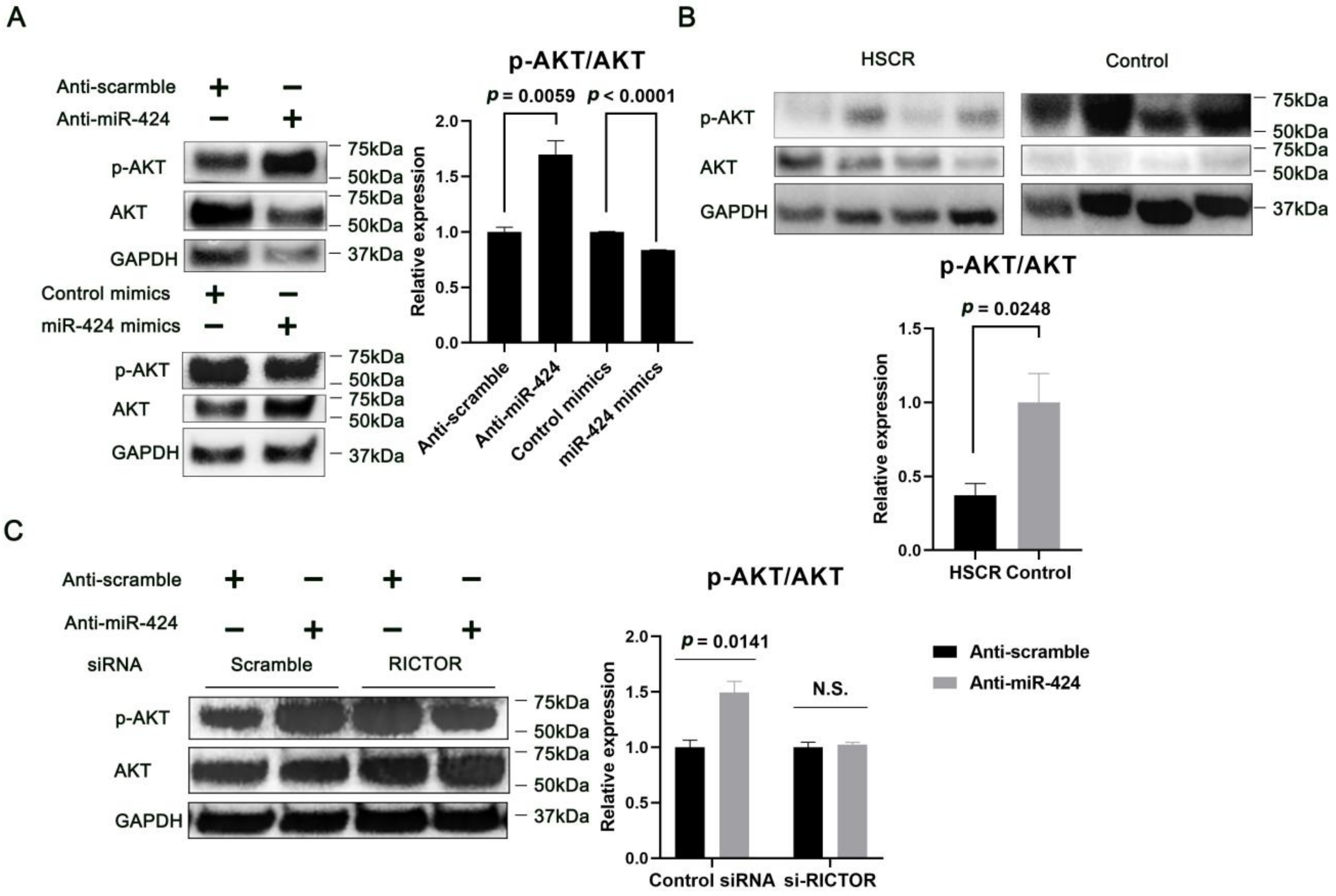 Ijms 24 06700 g006 Ijms 24 06700 g006