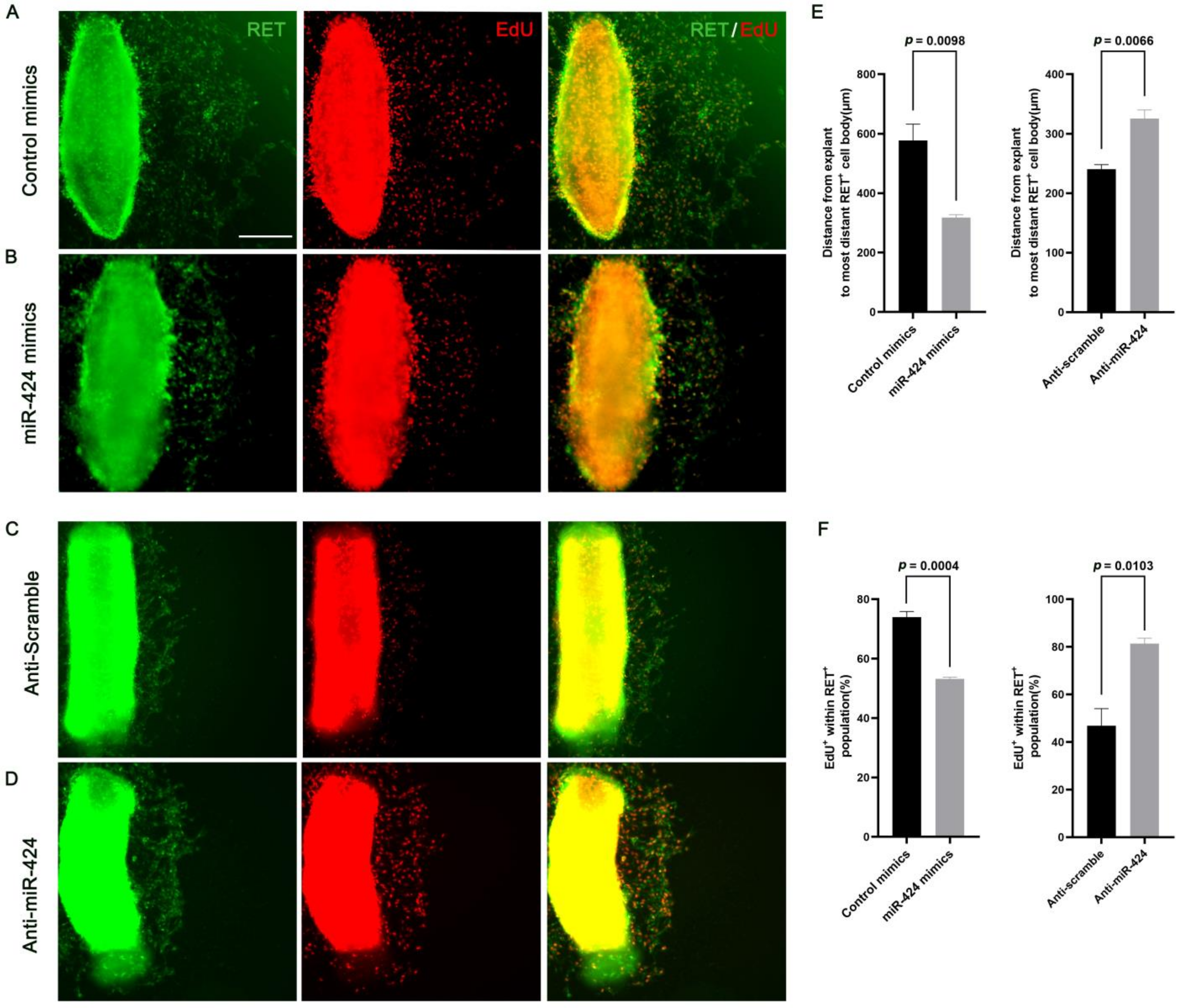 Ijms 24 06700 g007 Ijms 24 06700 g007