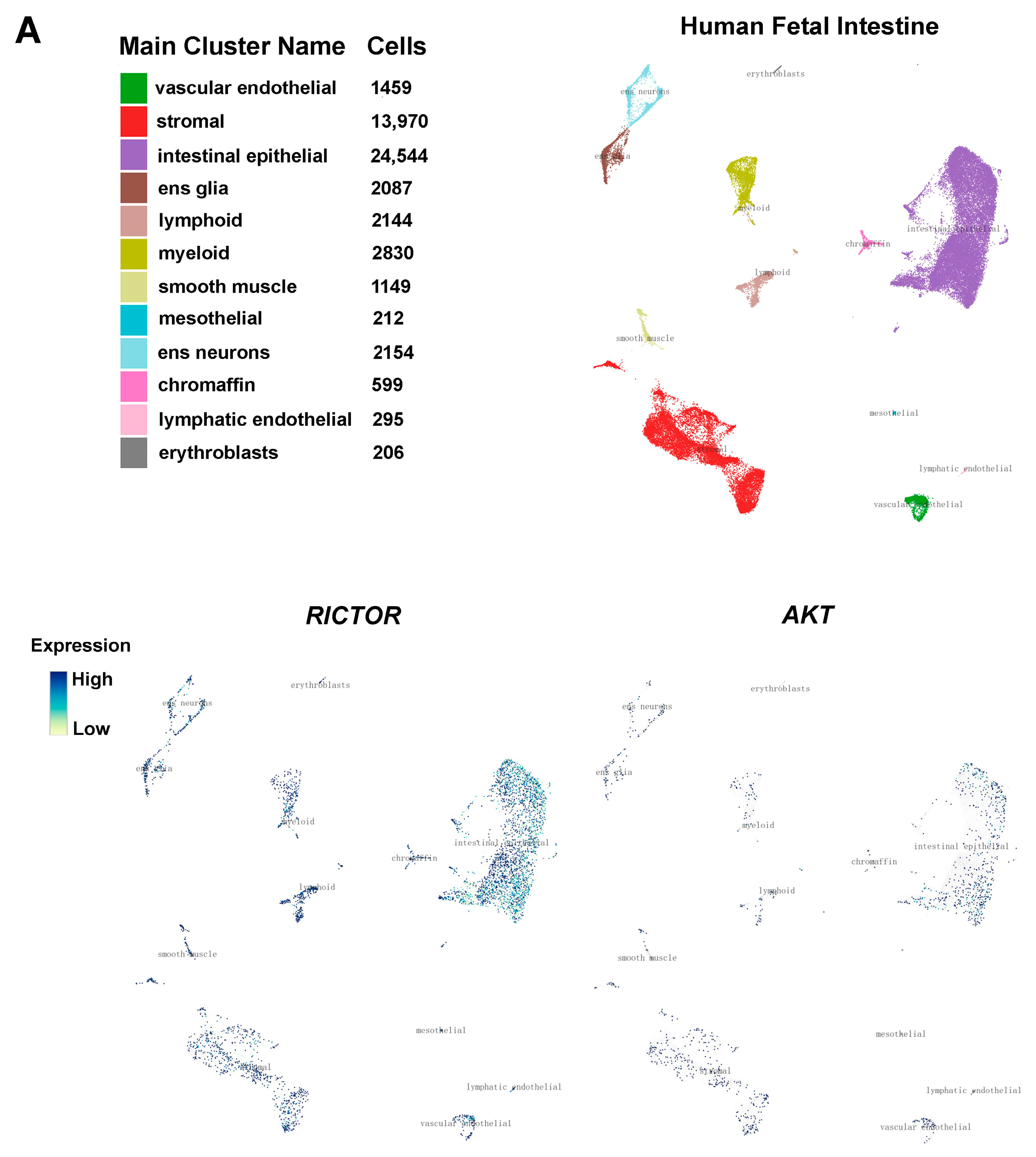Ijms 24 06700 g008a Ijms 24 06700 g008a