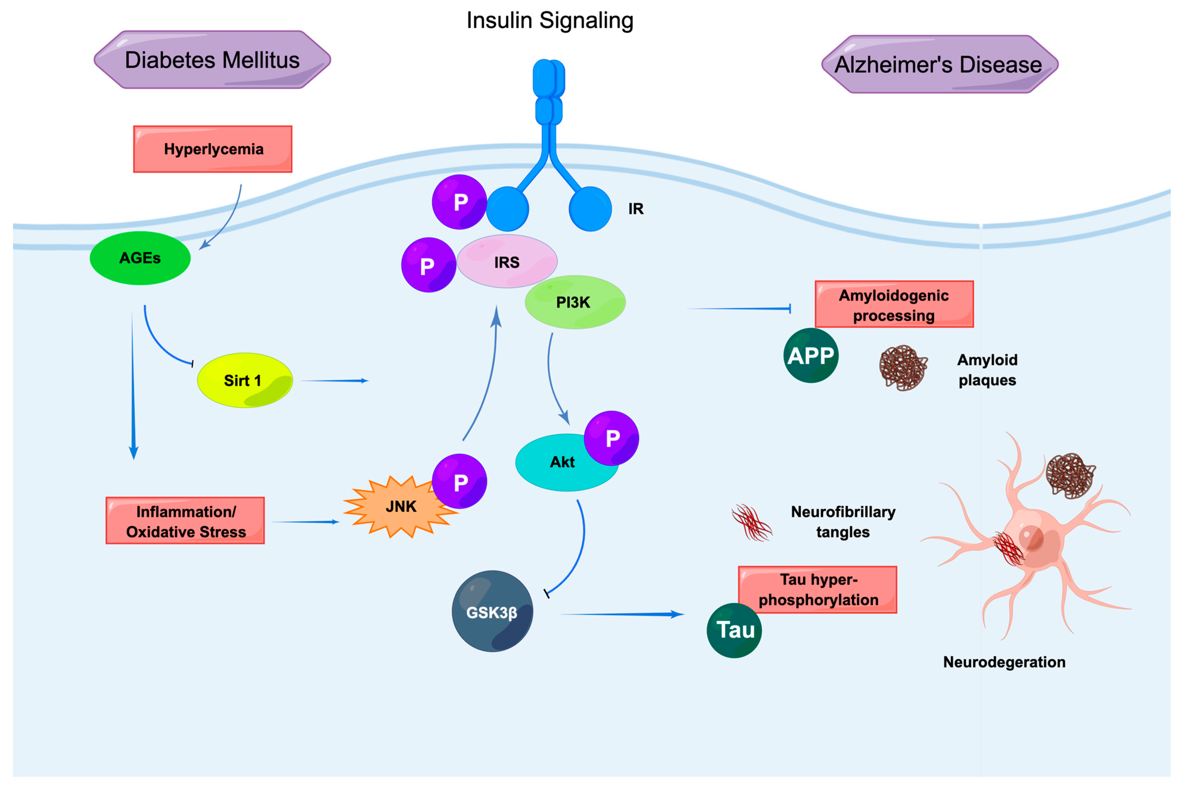 Ijms 24 08398 g002 Ijms 24 08398 g002