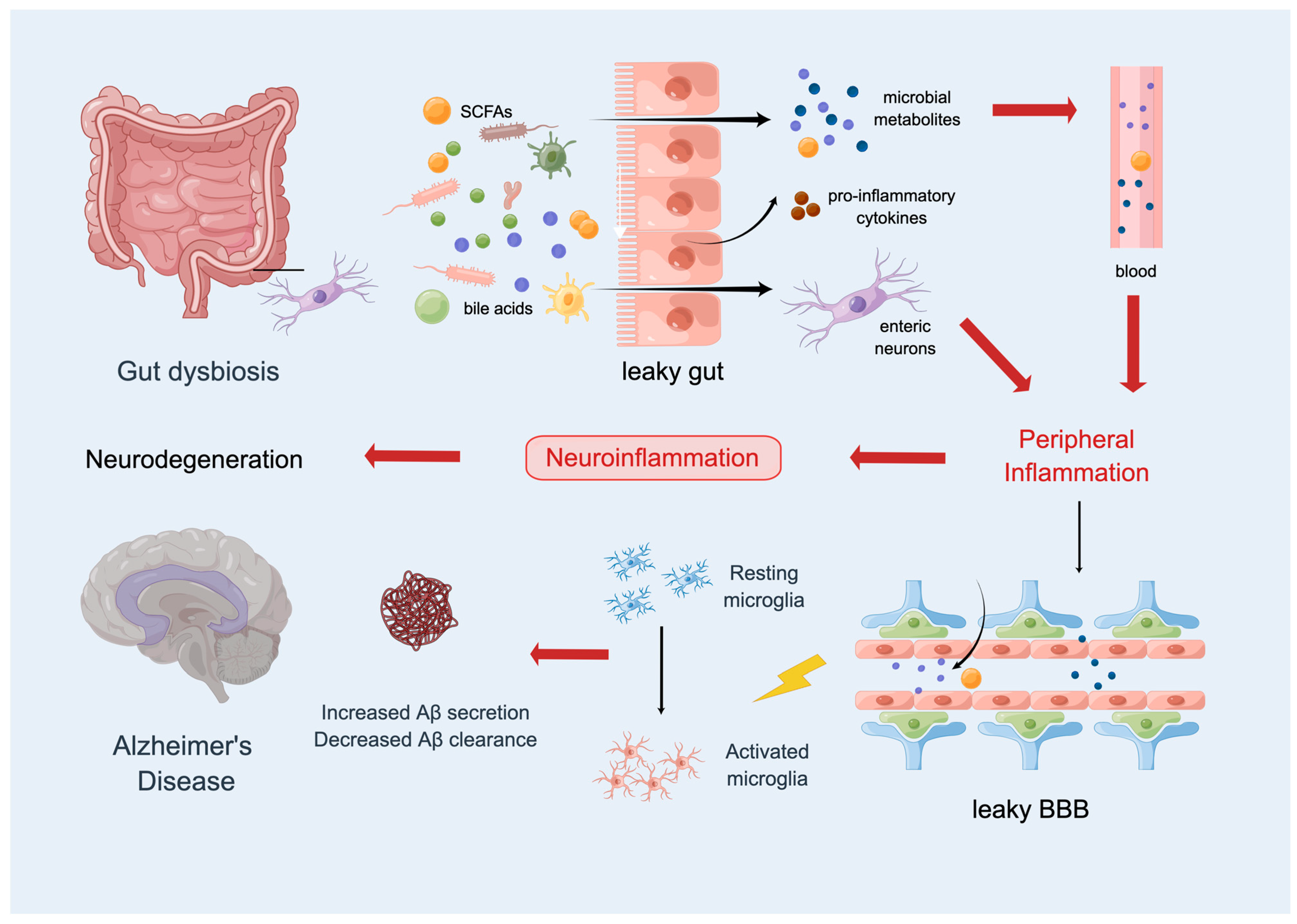 Ijms 24 08398 g003 Ijms 24 08398 g003