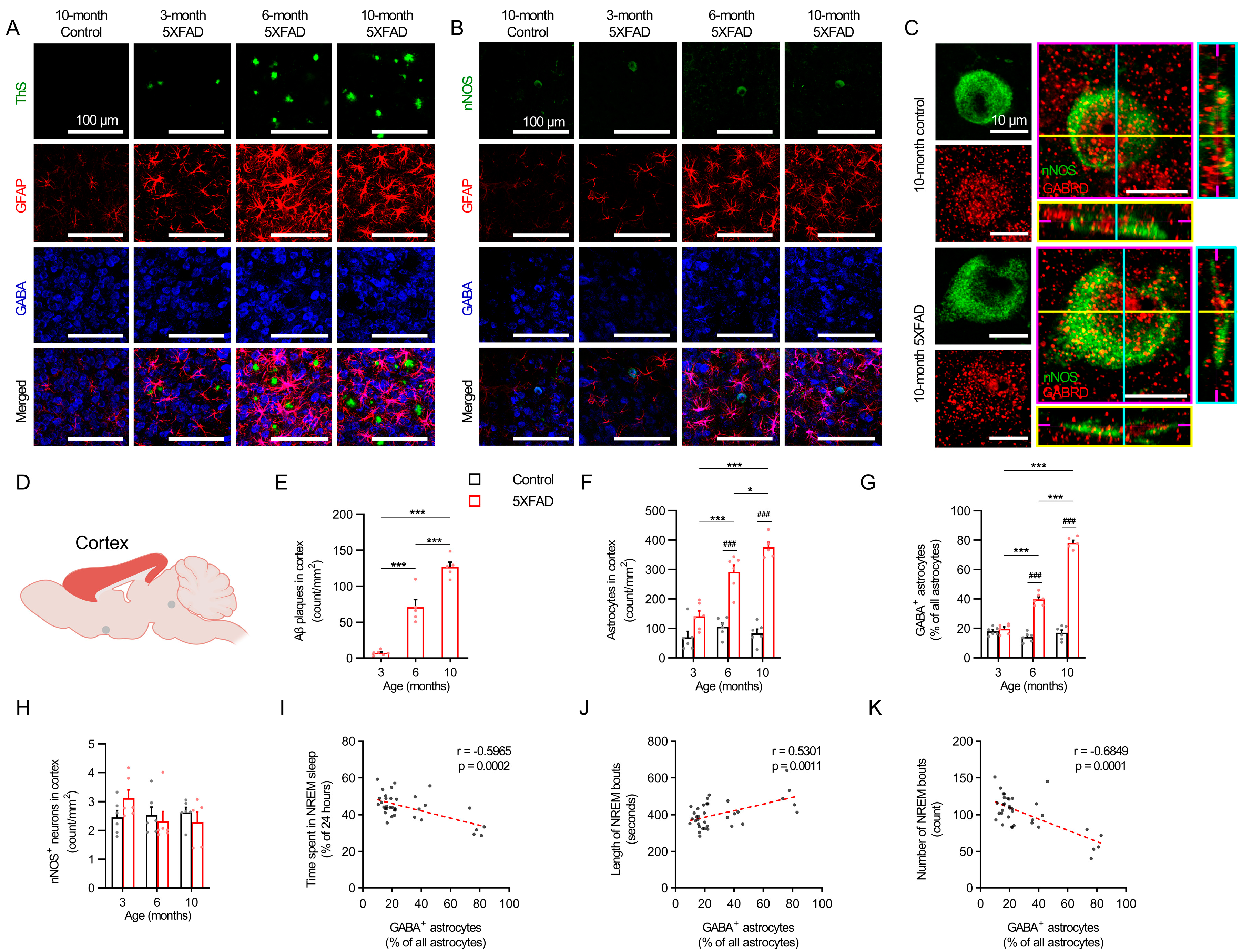 Ijms 24 09695 g004 Ijms 24 09695 g004
