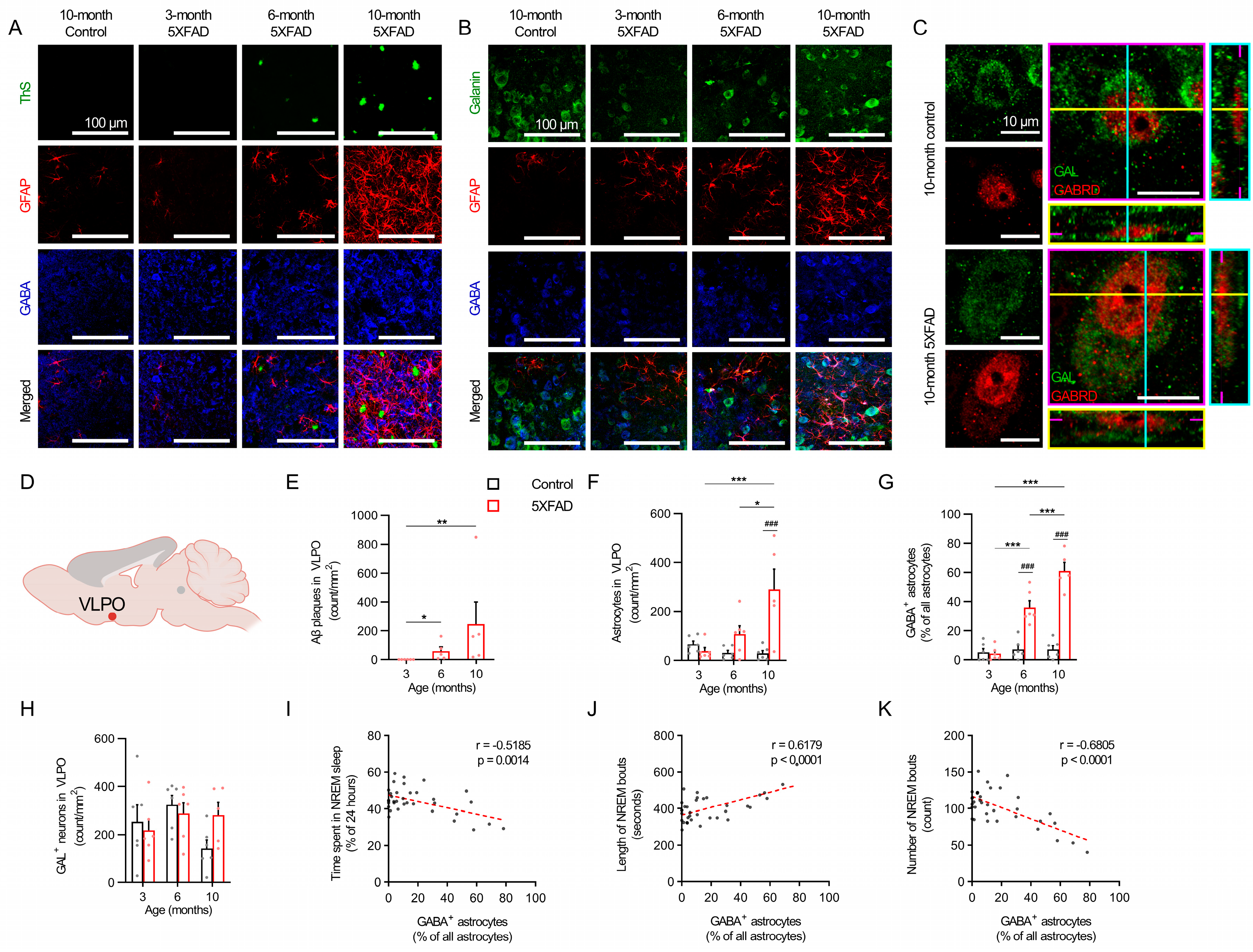 Ijms 24 09695 g005 Ijms 24 09695 g005