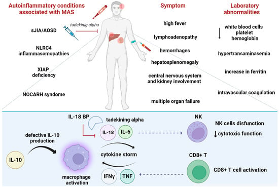 Ijms Free Full Text Il In Autoinflammatory Diseases Focus On