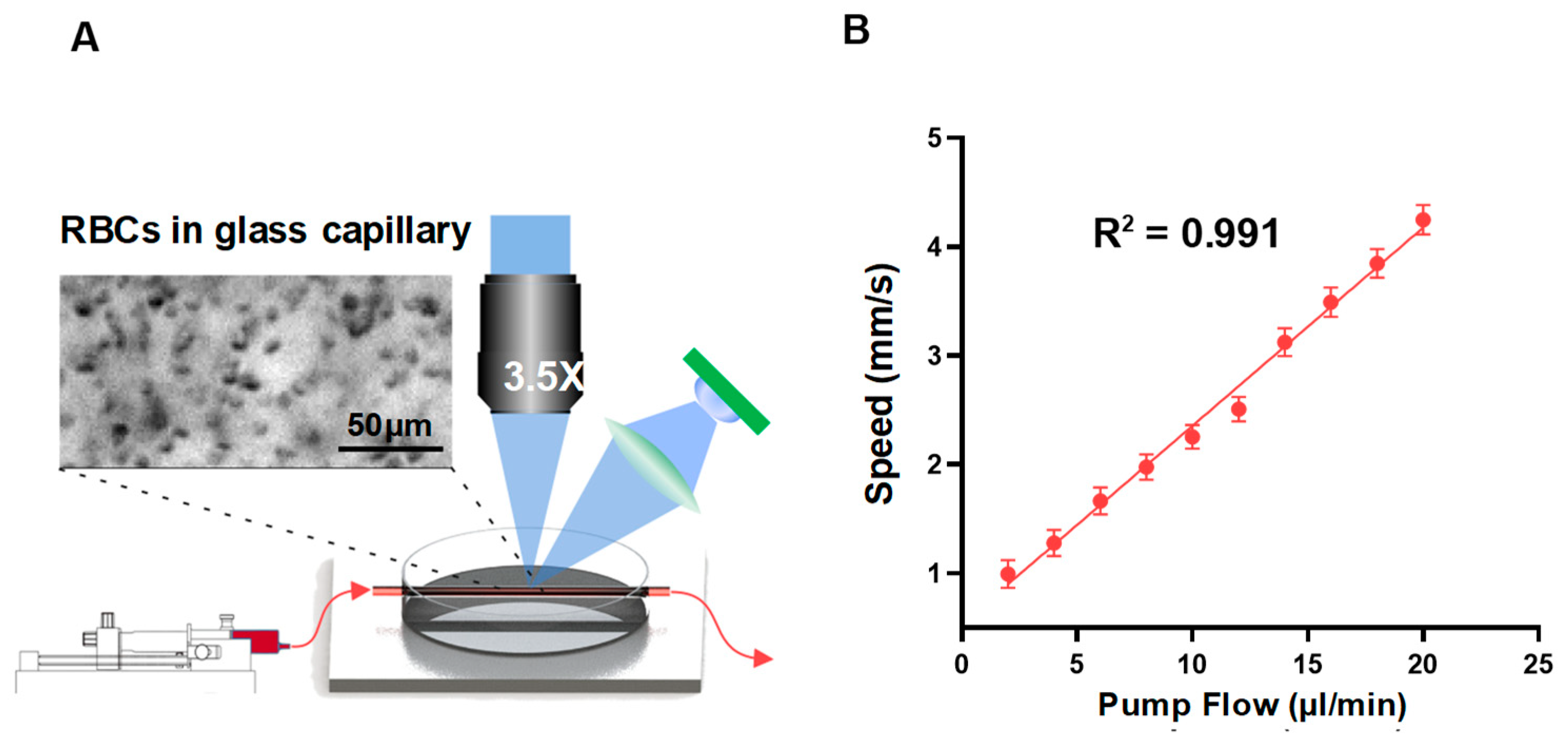 Ijms 24 12048 g001 Ijms 24 12048 g001