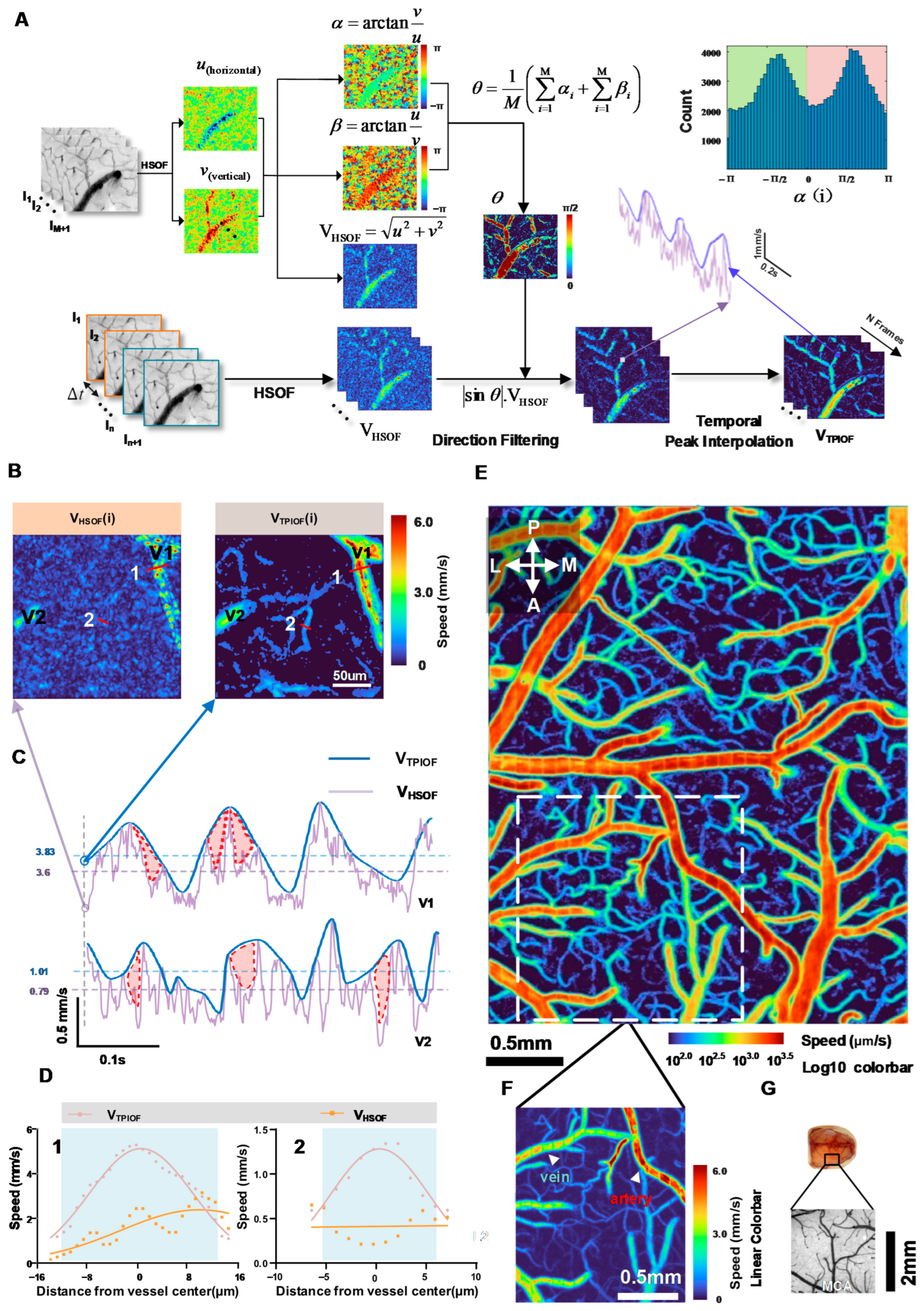 Ijms 24 12048 g002 Ijms 24 12048 g002