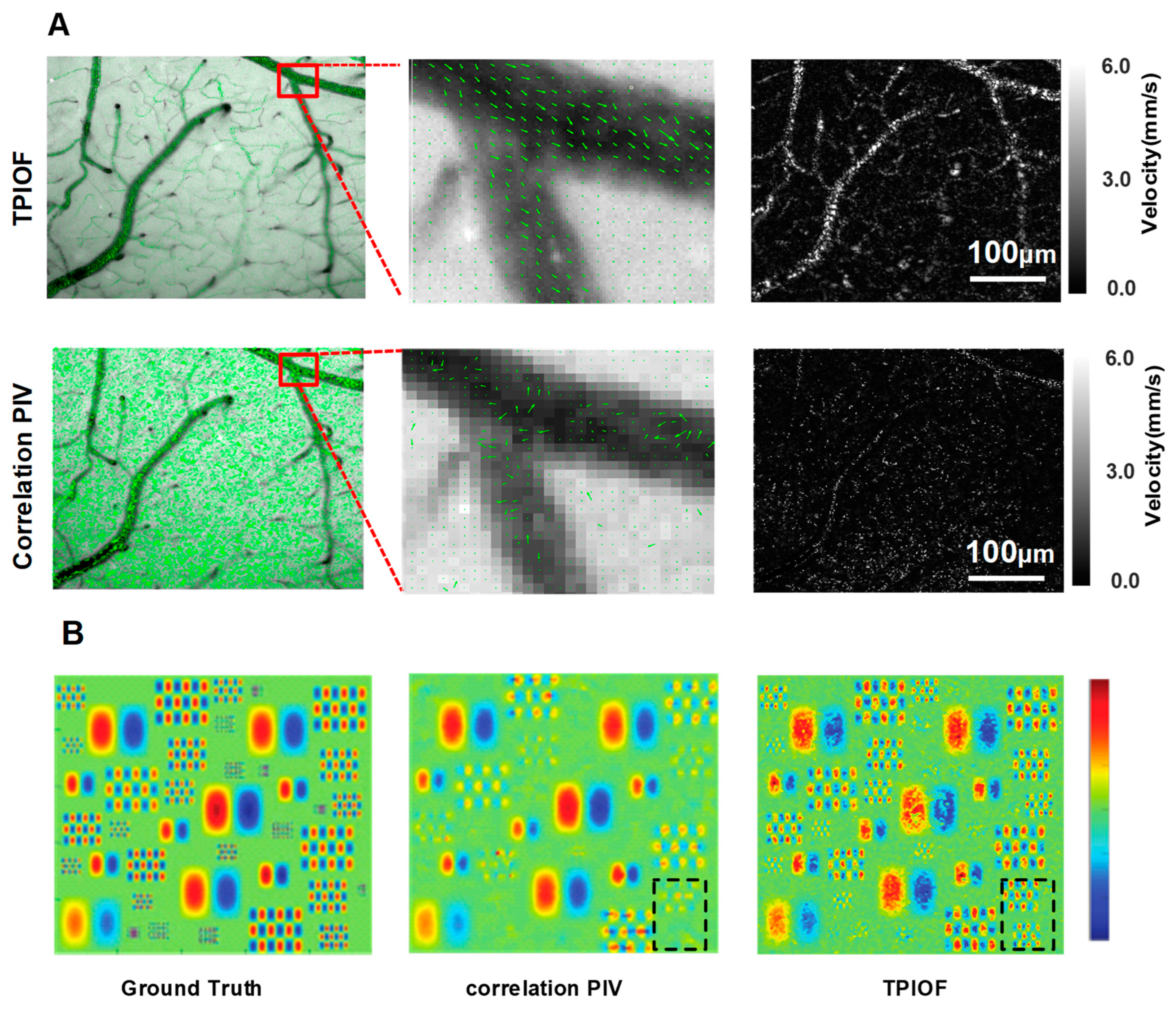 Ijms 24 12048 g004 Ijms 24 12048 g004