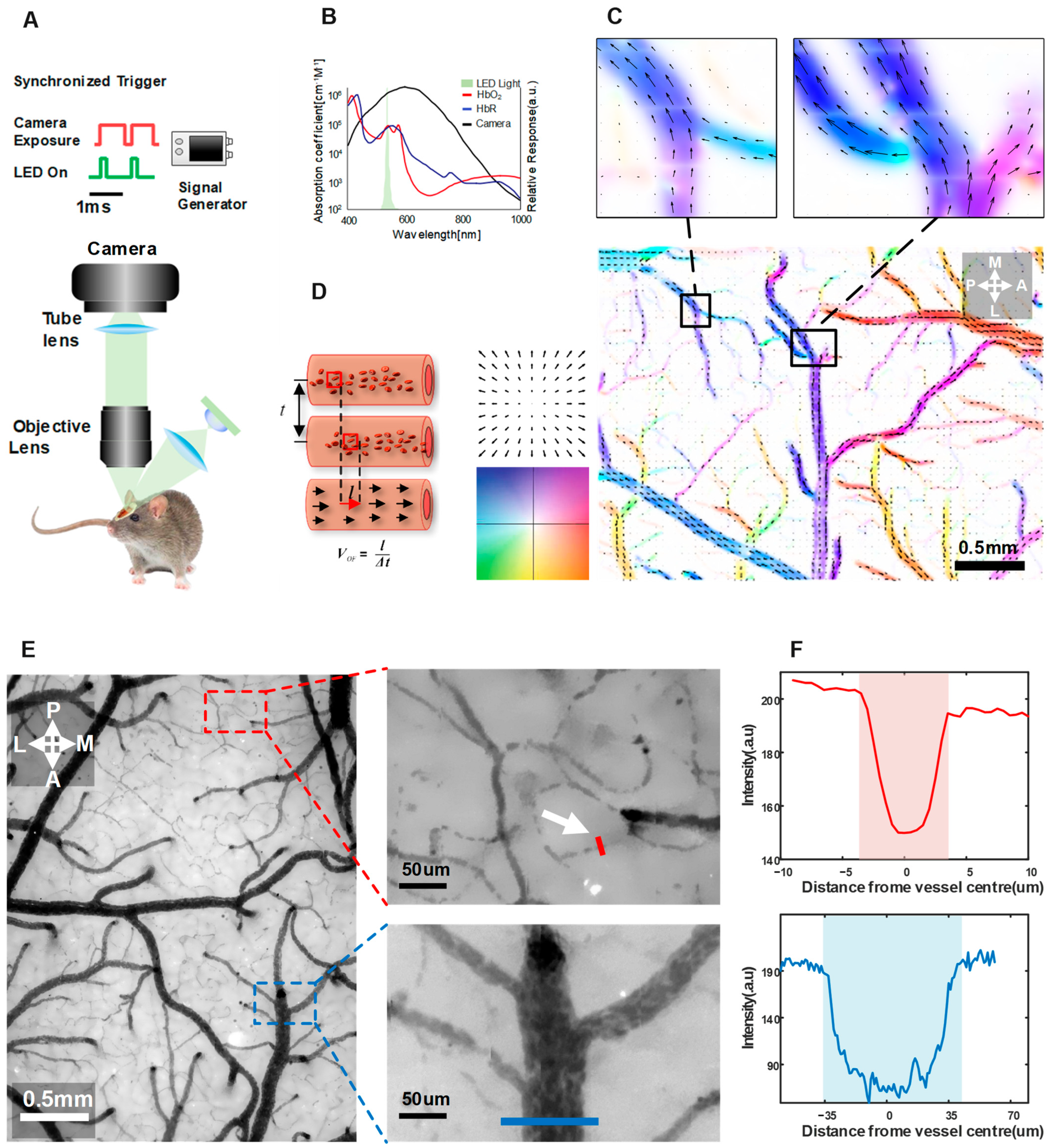 Ijms 24 12048 g005 Ijms 24 12048 g005