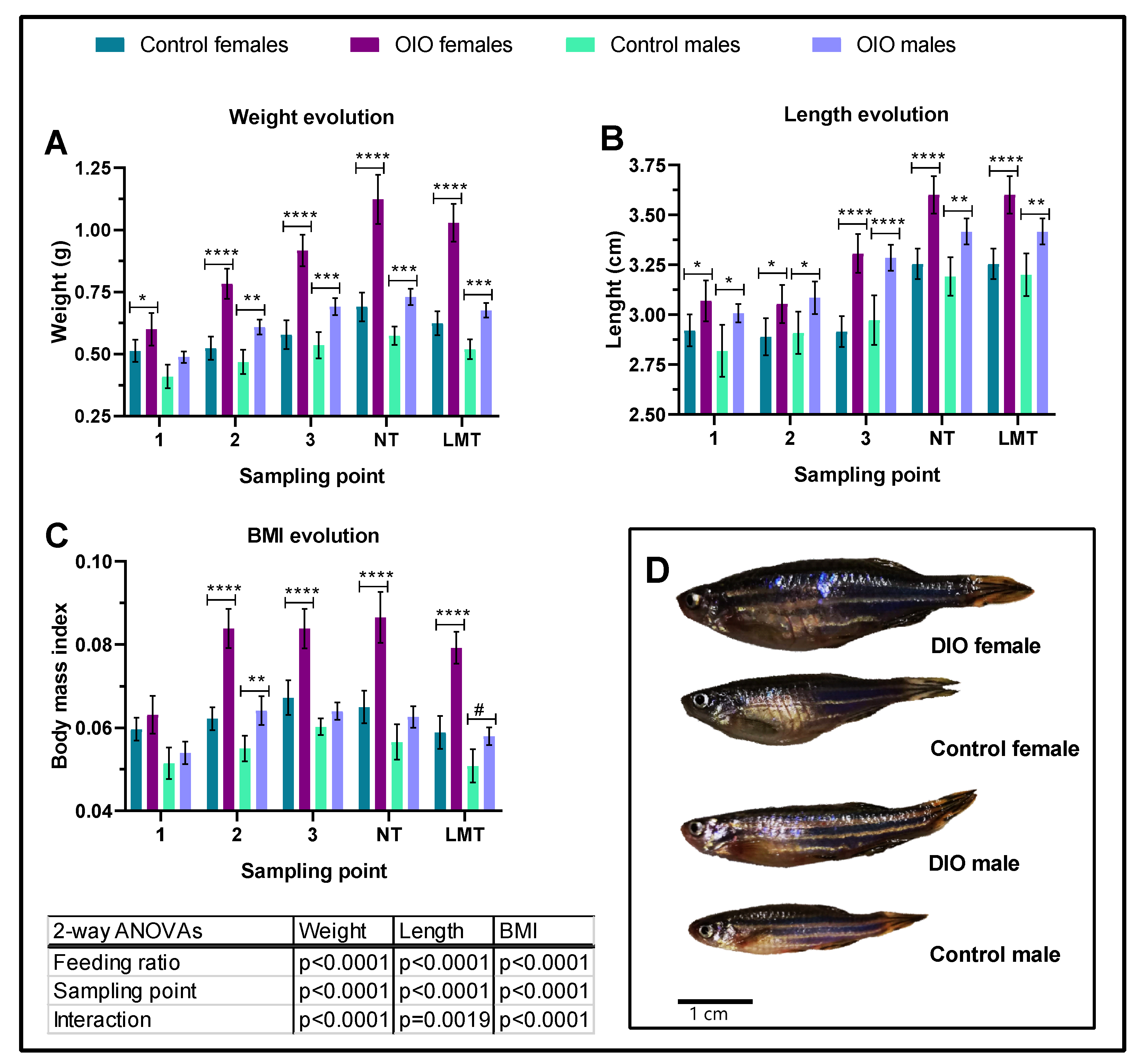 Ijms 24 12316 g001 Ijms 24 12316 g001