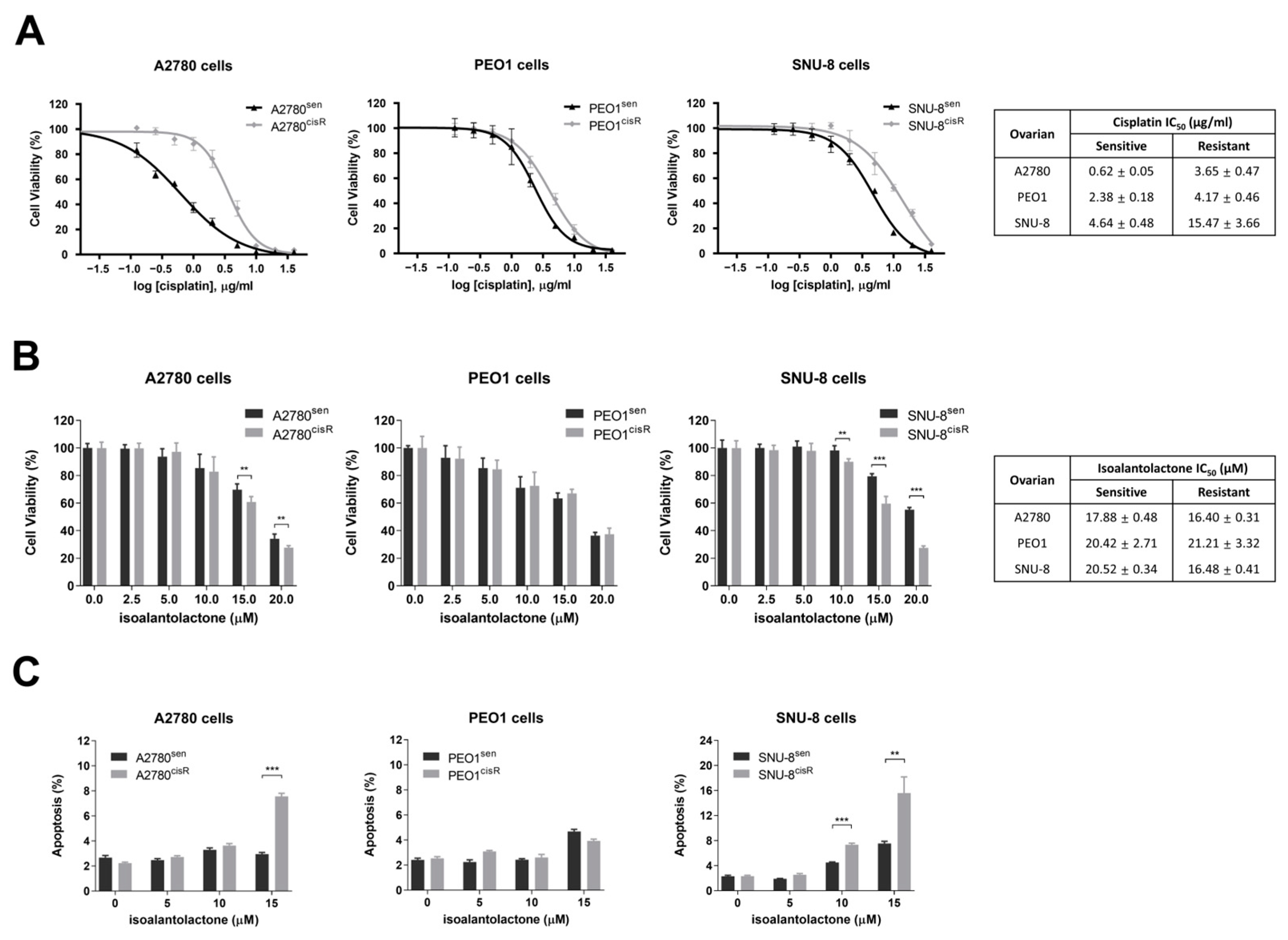 Ijms Free Full Text Isoalantolactone Suppresses Glycolysis And