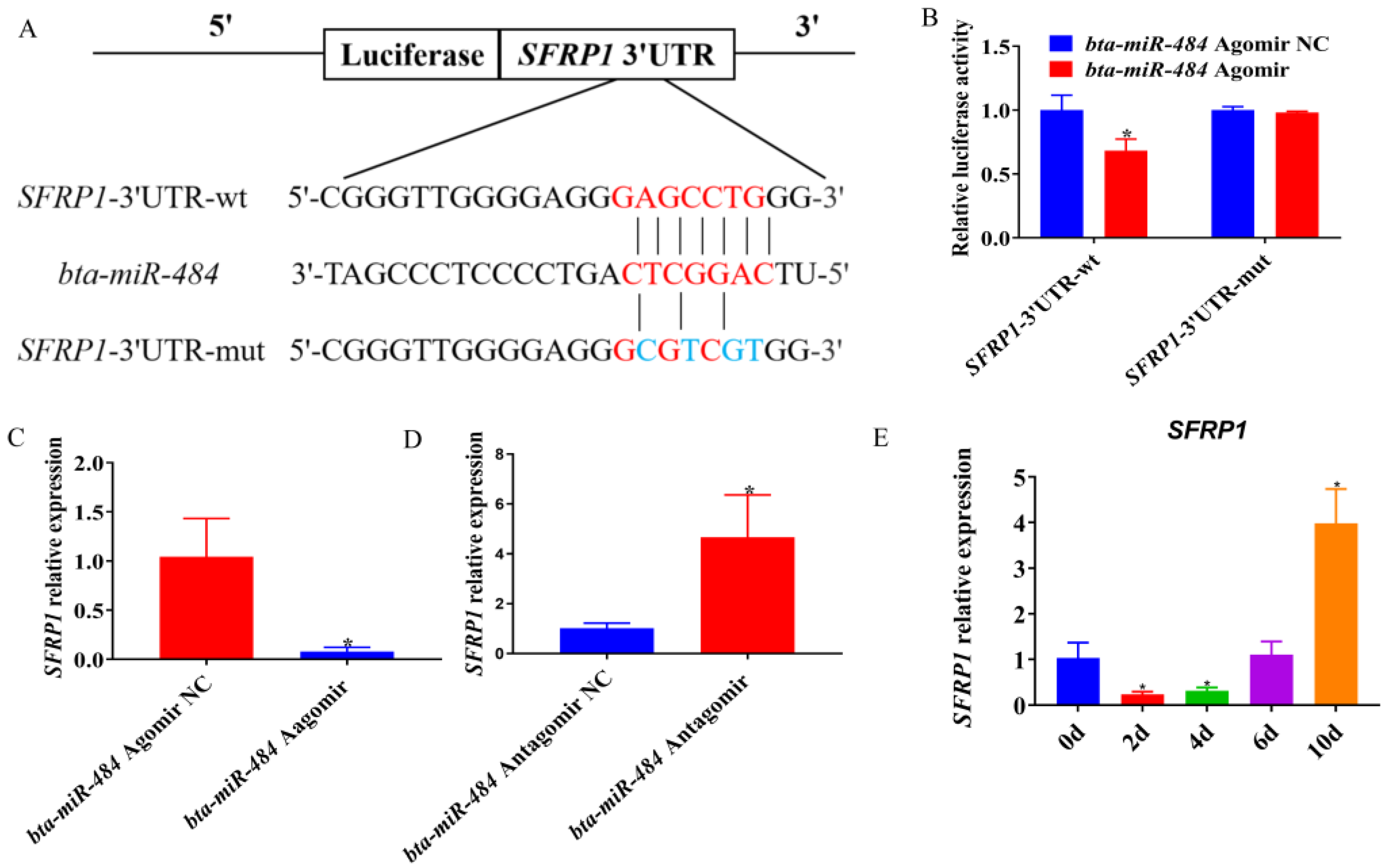 Ijms Free Full Text Bta Mir Targets Sfrp And Affects