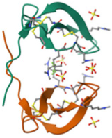 Ijms 24 13460 i001 Ijms 24 13460 i001