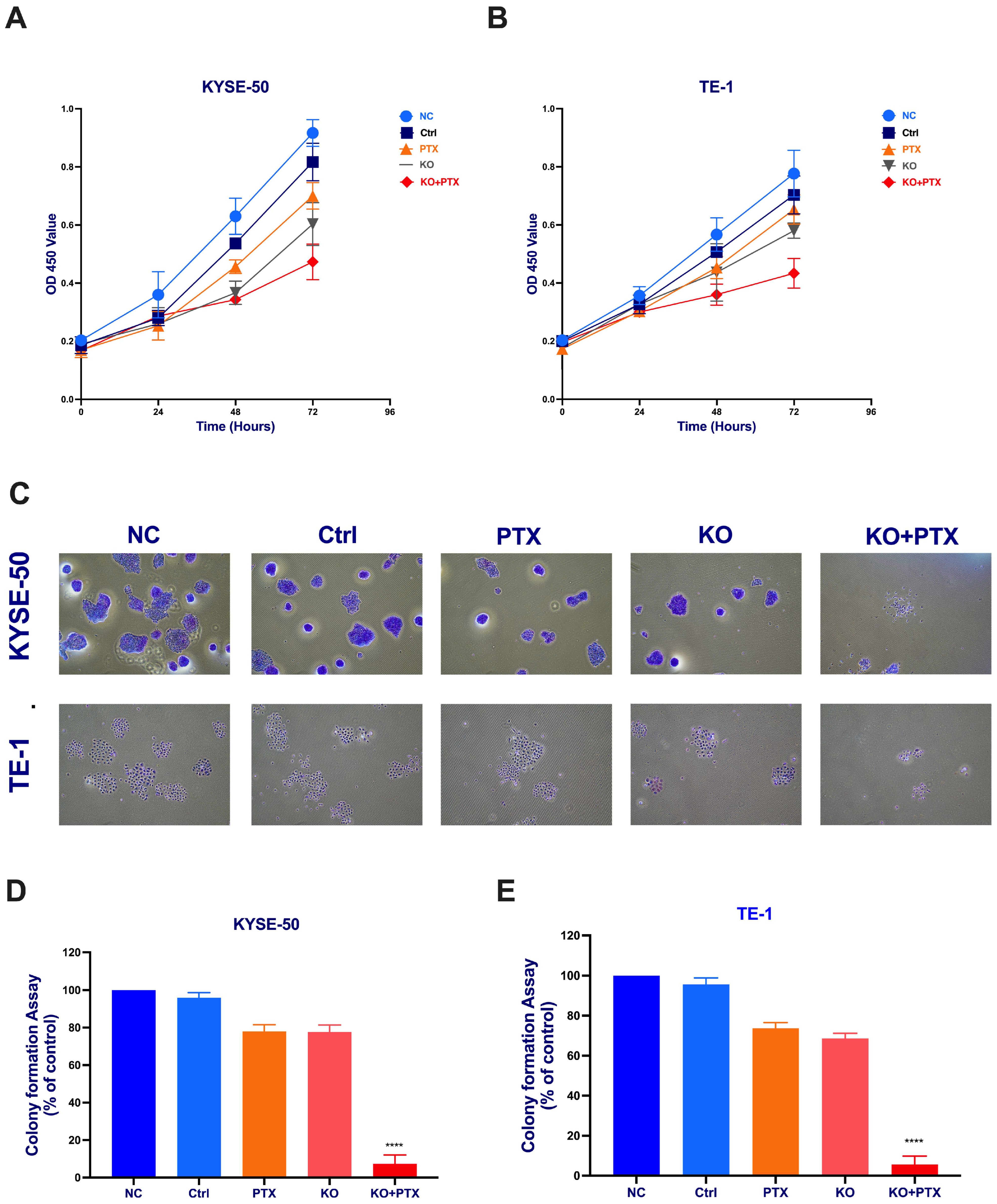 Ijms 24 14030 g003 Ijms 24 14030 g003