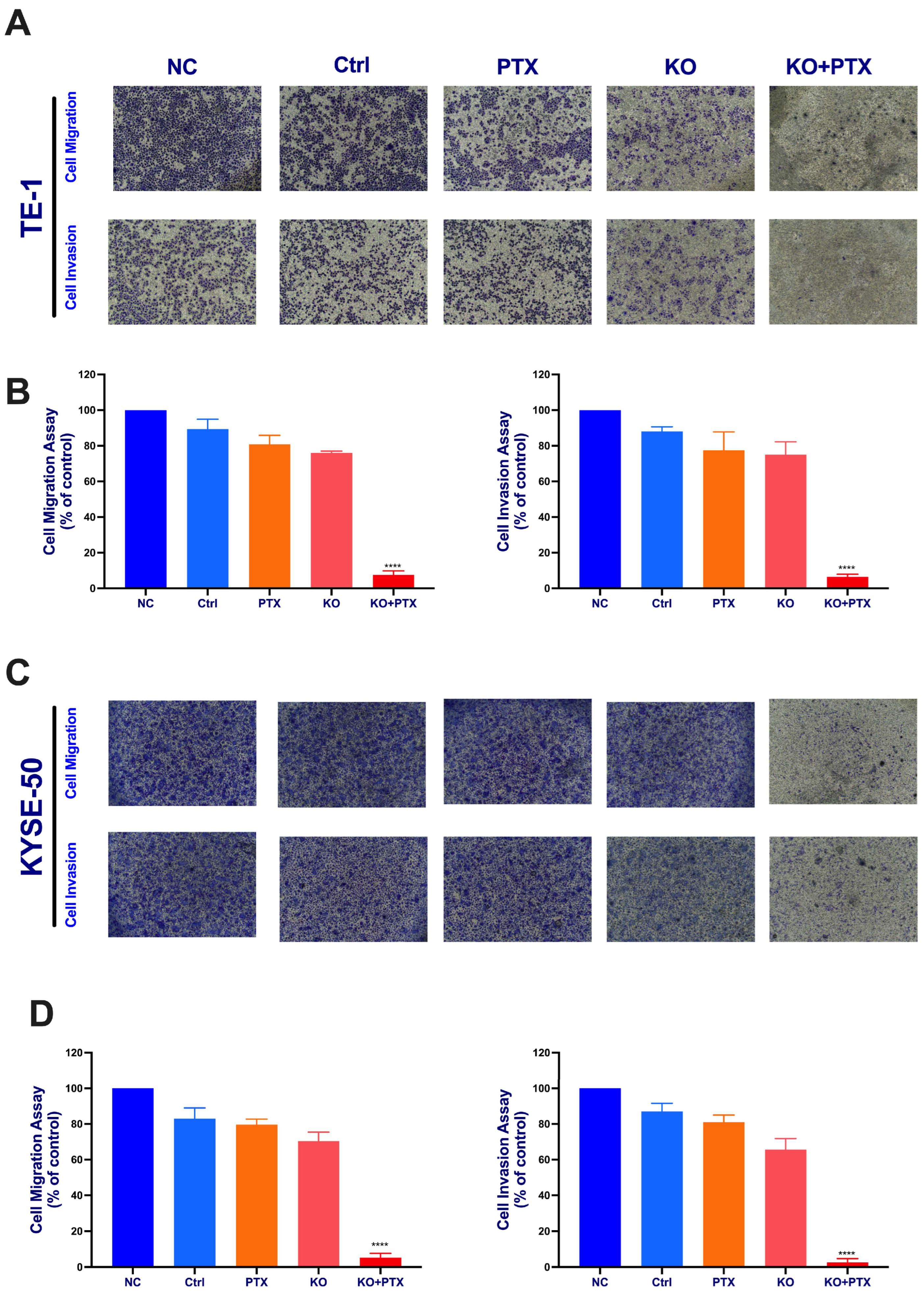 Ijms 24 14030 g004 Ijms 24 14030 g004