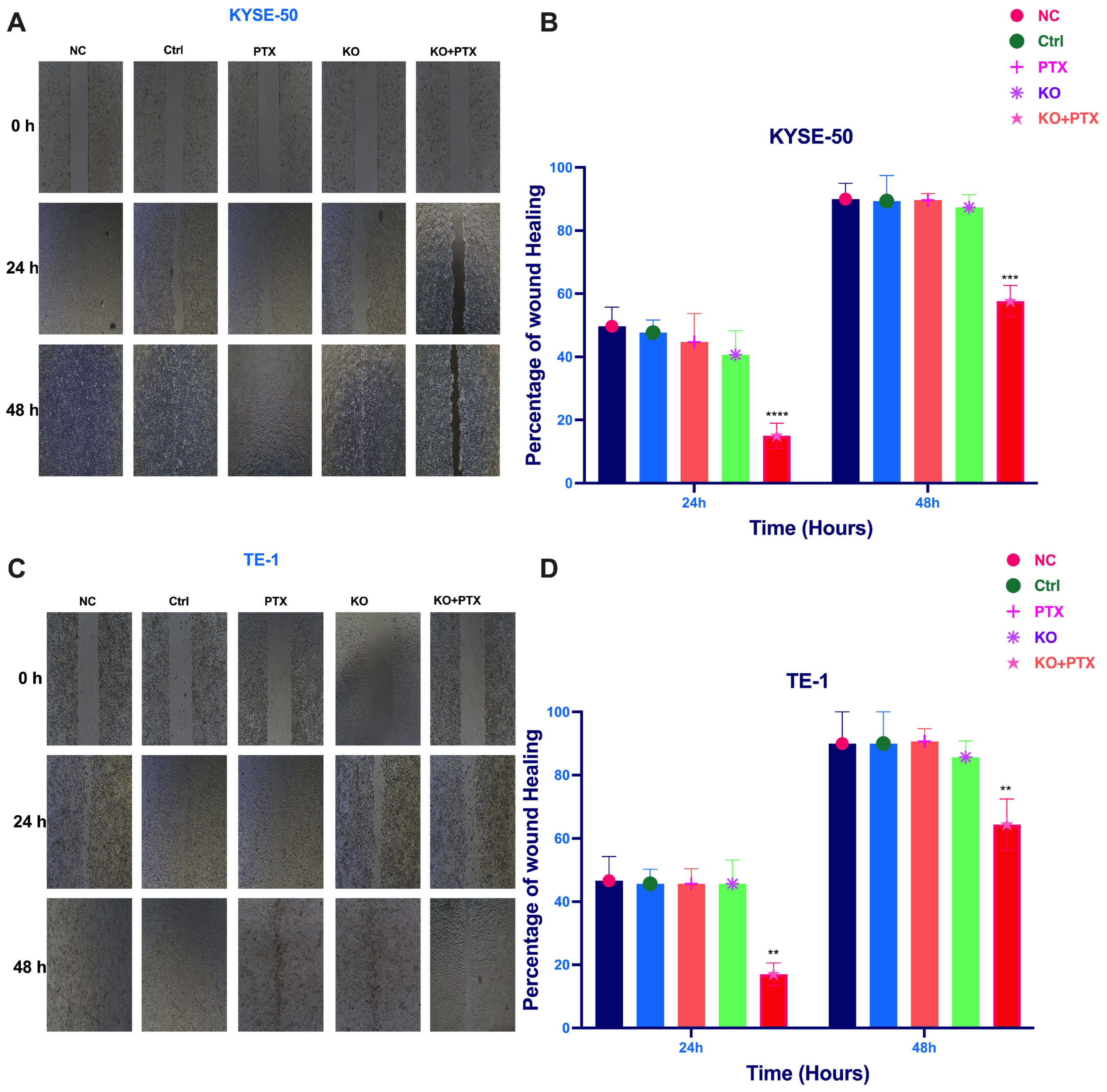 Ijms 24 14030 g005 Ijms 24 14030 g005