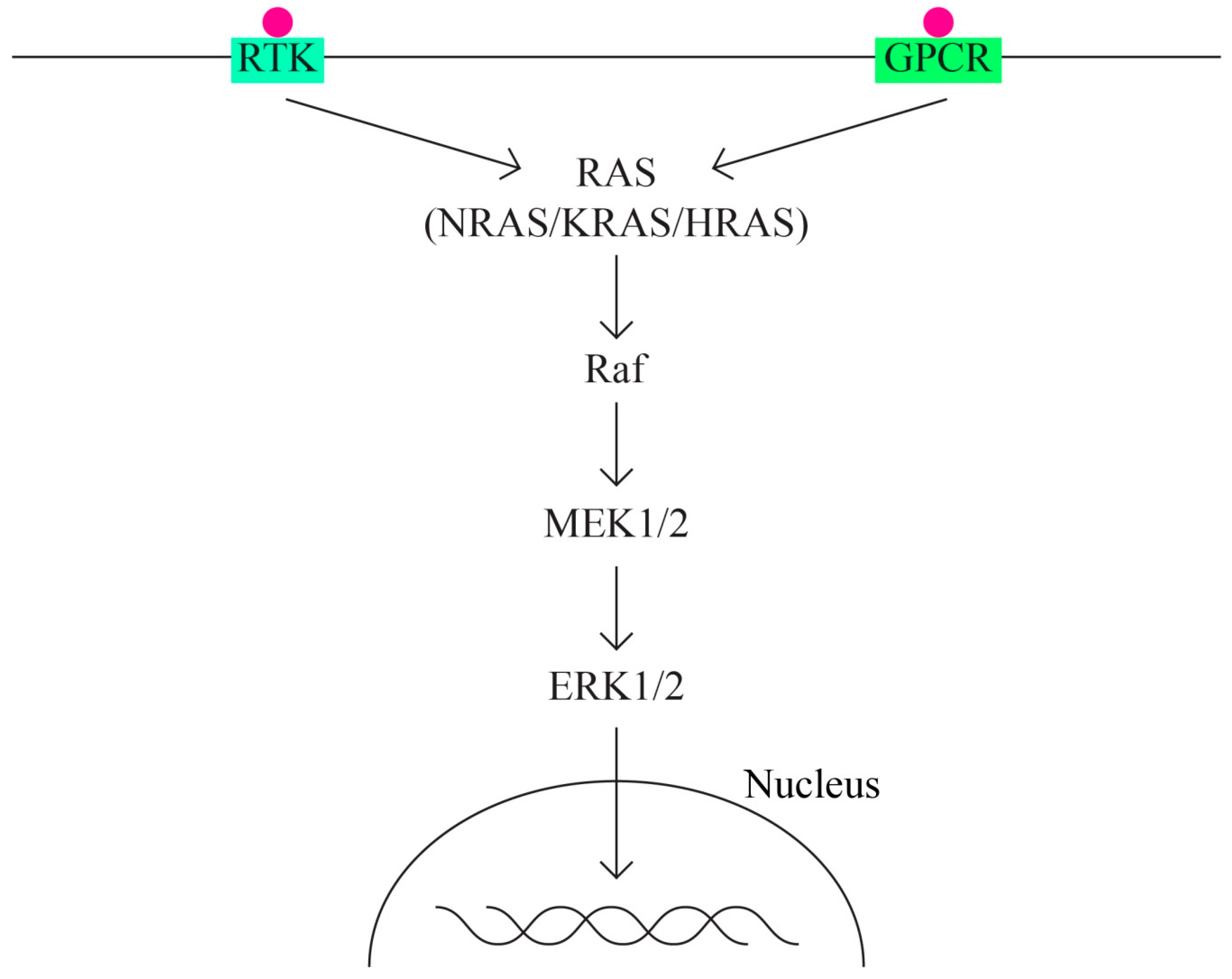 Ijms 24 15987 g002 Ijms 24 15987 g002