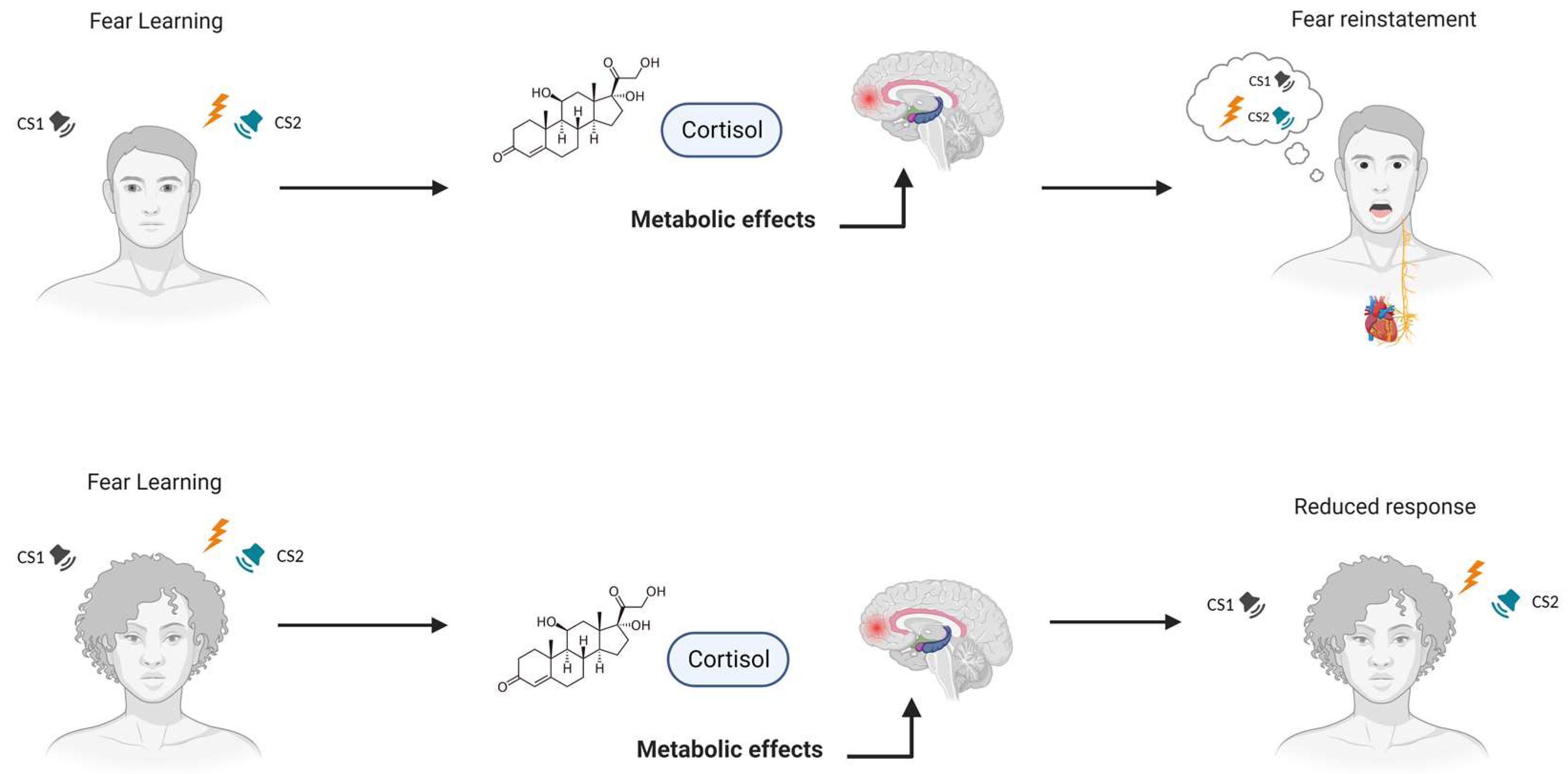 Ijms 25 00864 g002 Ijms 25 00864 g002