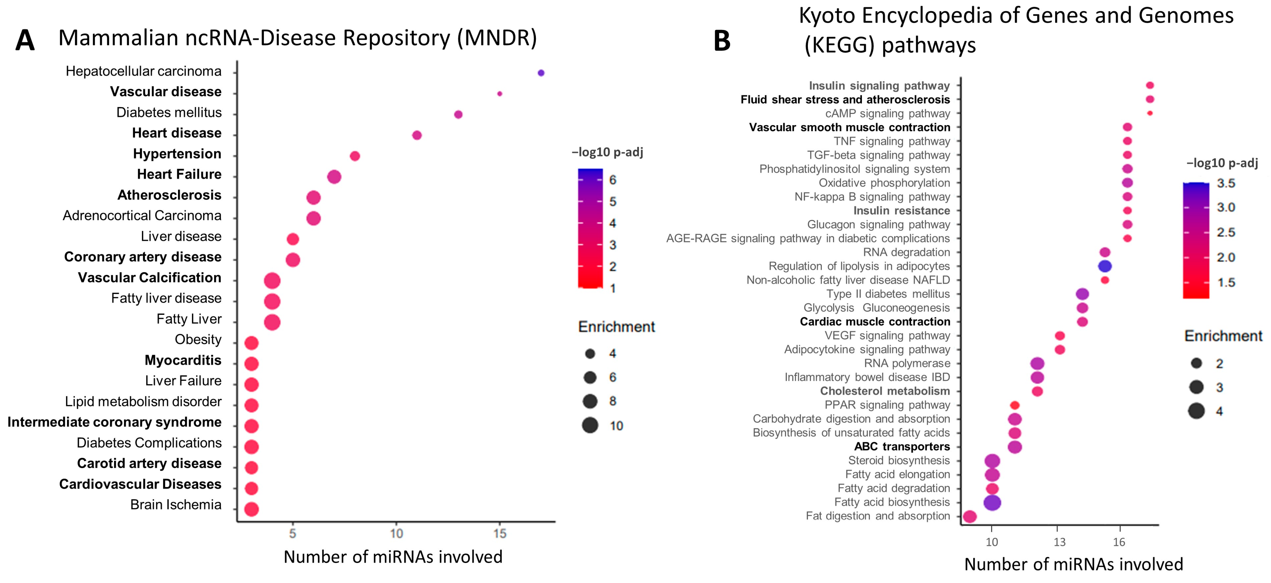 Ijms 25 00890 g003 Ijms 25 00890 g003