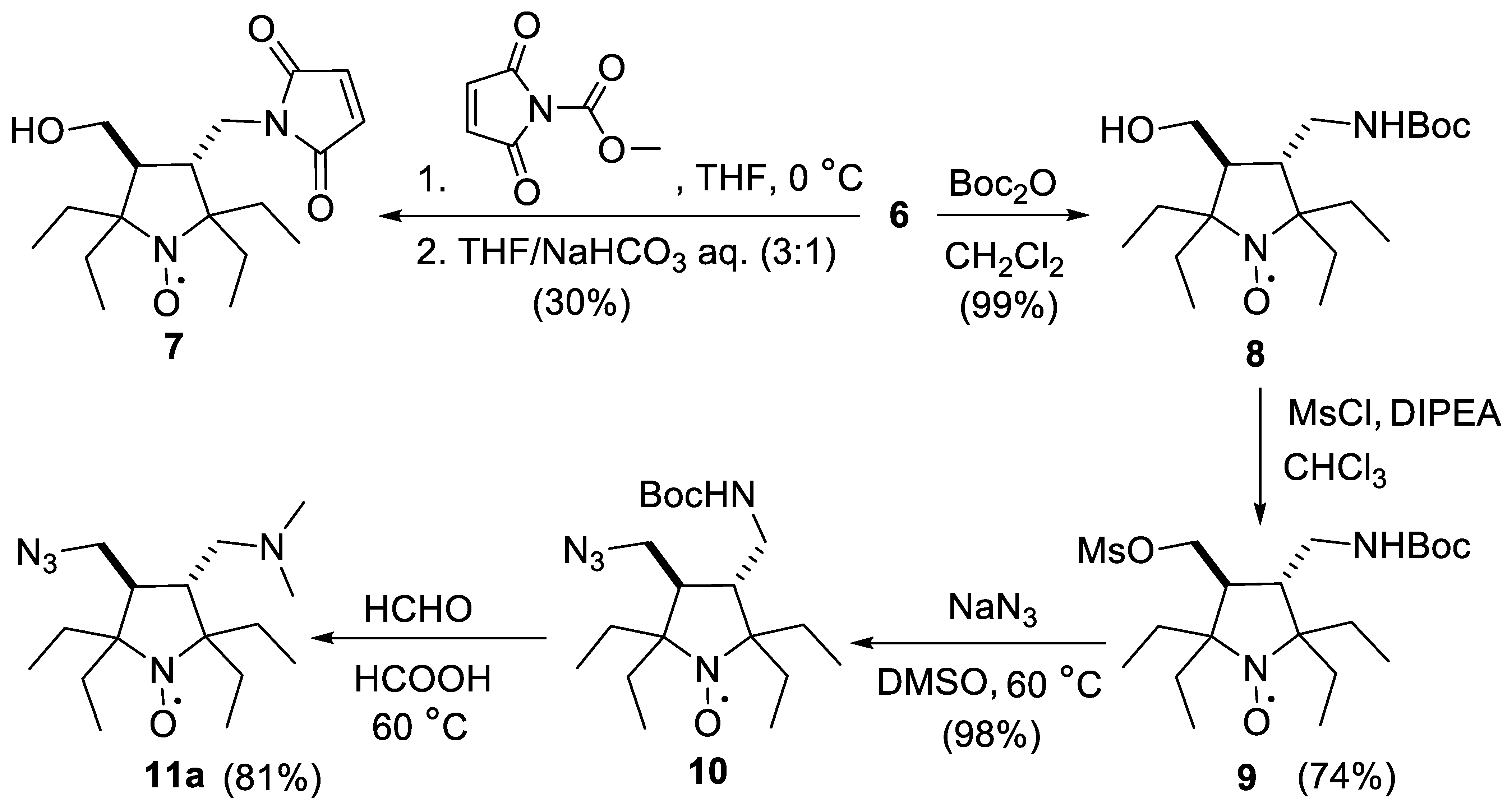 Ijms 25 01550 sch004