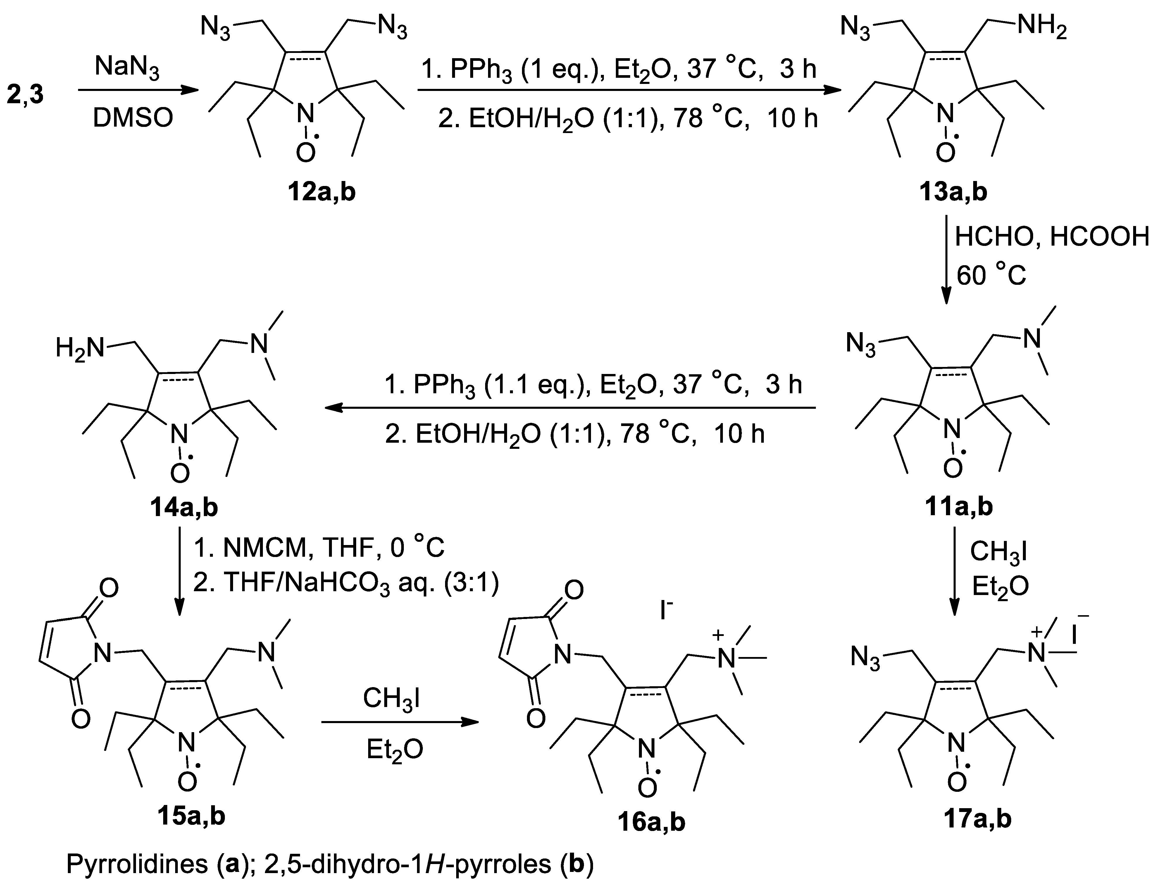 Ijms 25 01550 sch005