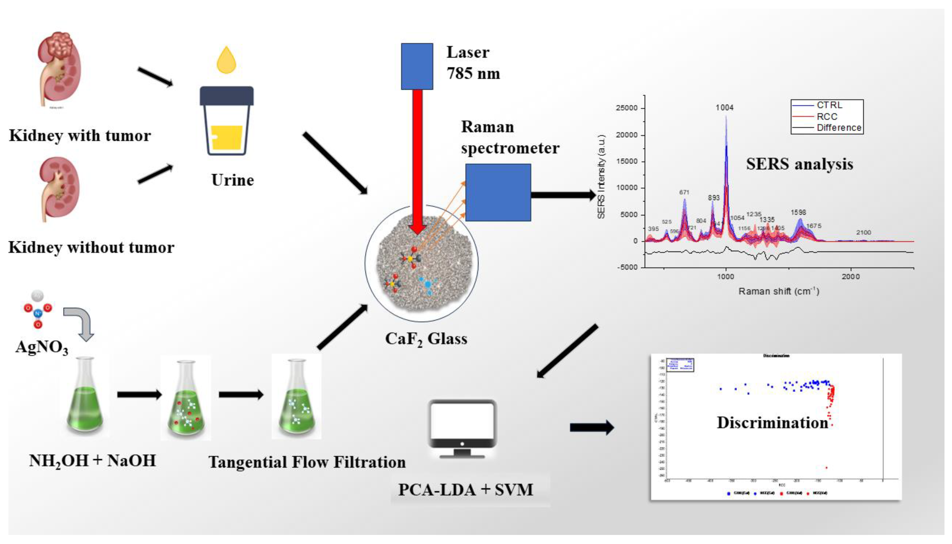 Ijms 25 03891 sch001