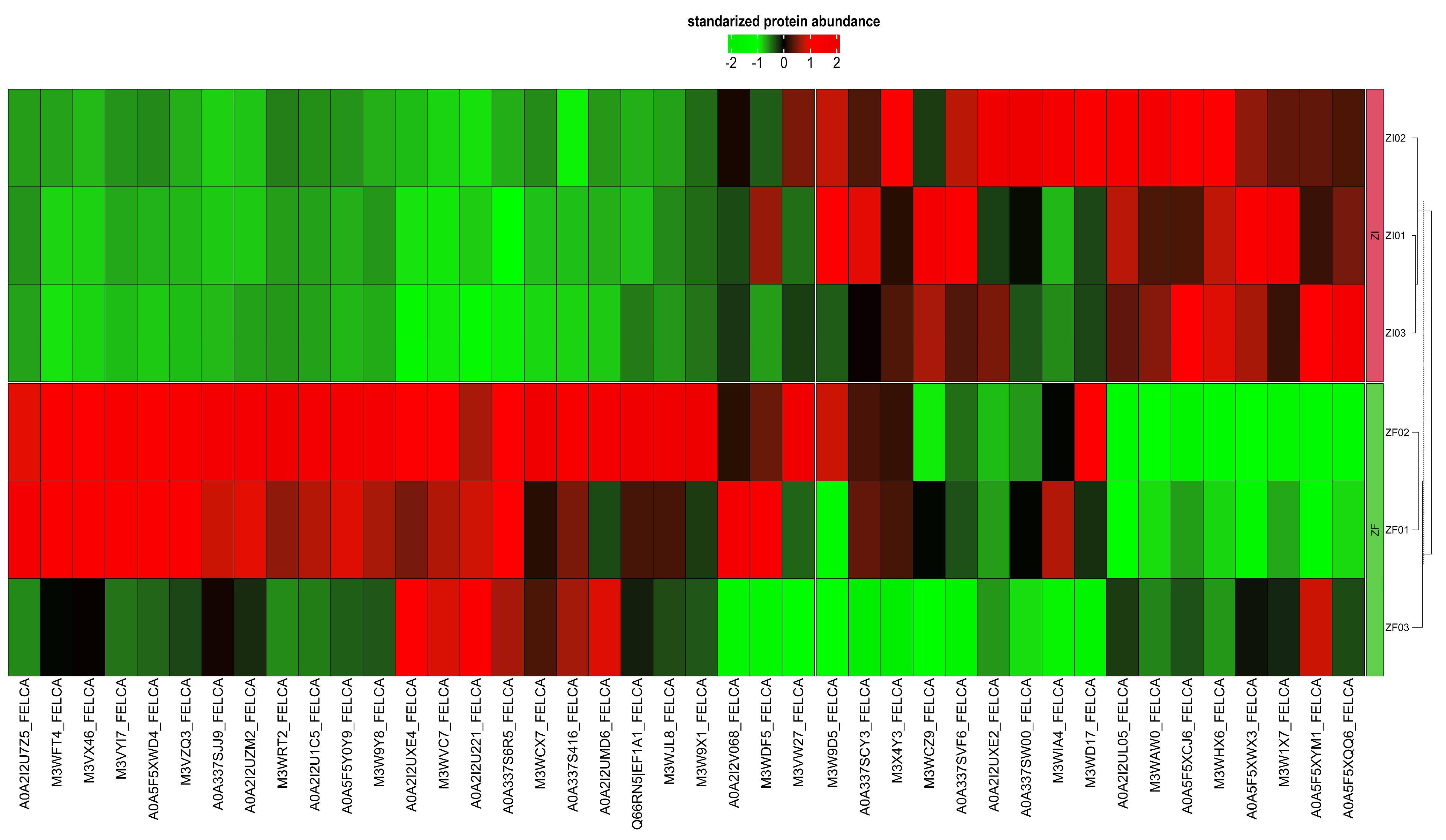 Ijms 25 04343 g004 Ijms 25 04343 g004