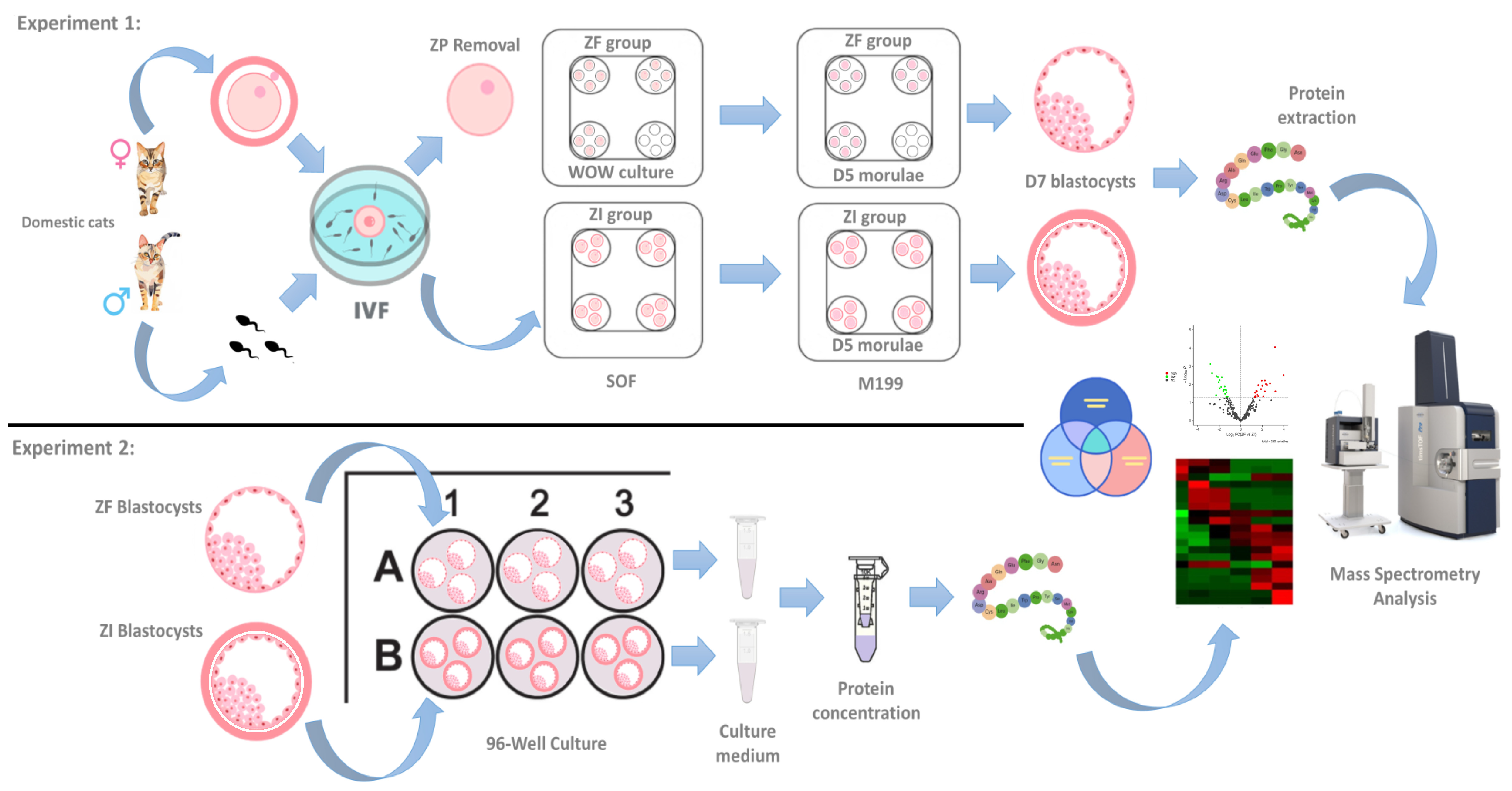 Ijms 25 04343 g009 Ijms 25 04343 g009