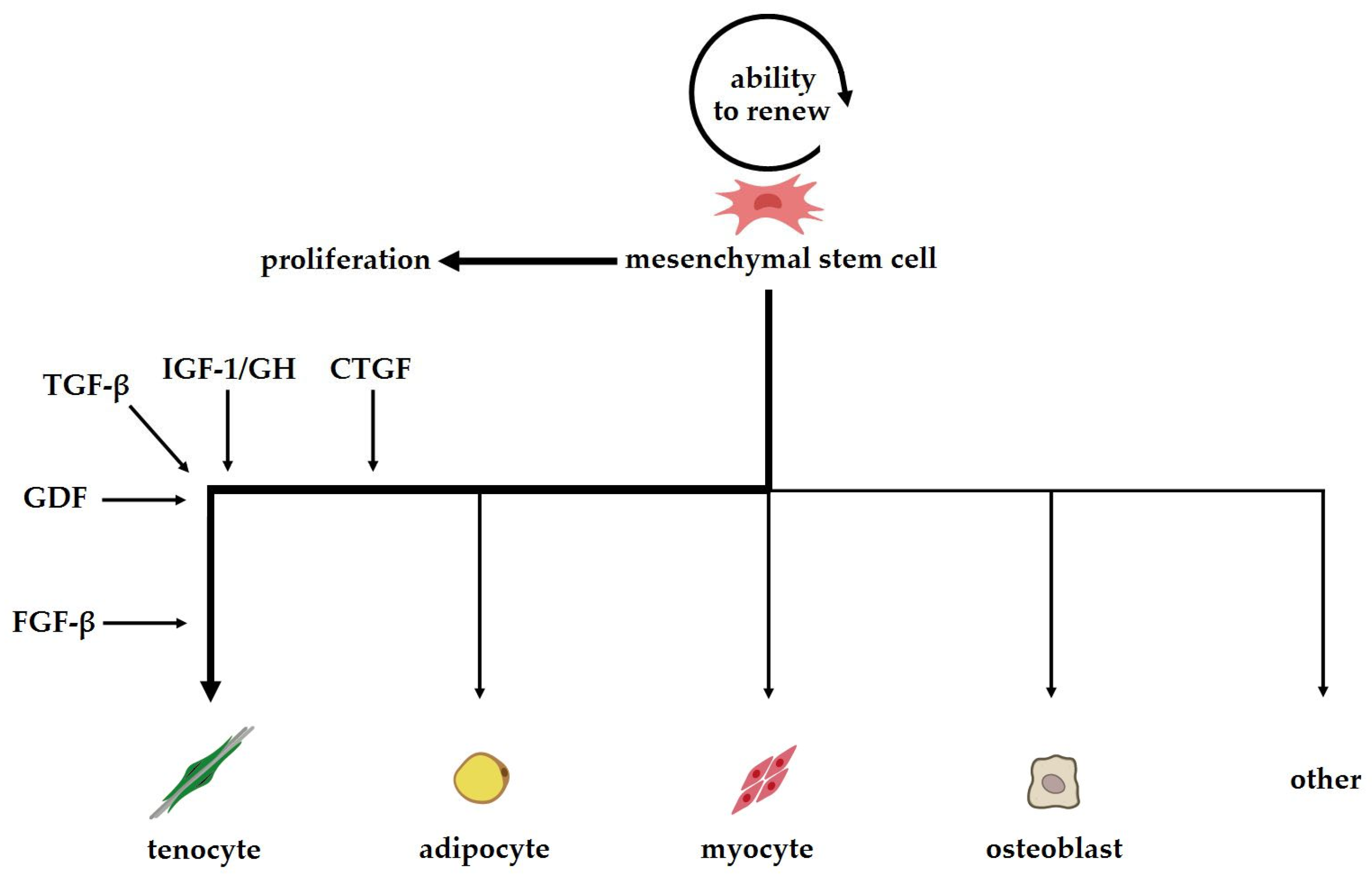 Ijms 25 04498 g001 Ijms 25 04498 g001