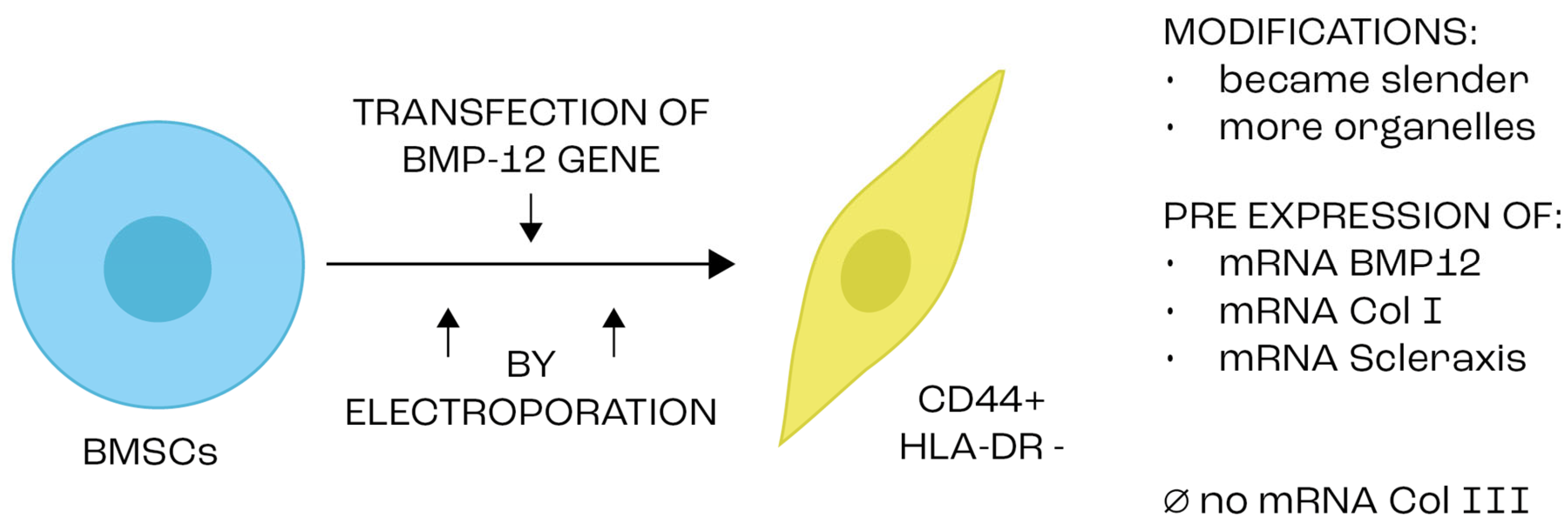 Ijms 25 04498 g002 Ijms 25 04498 g002